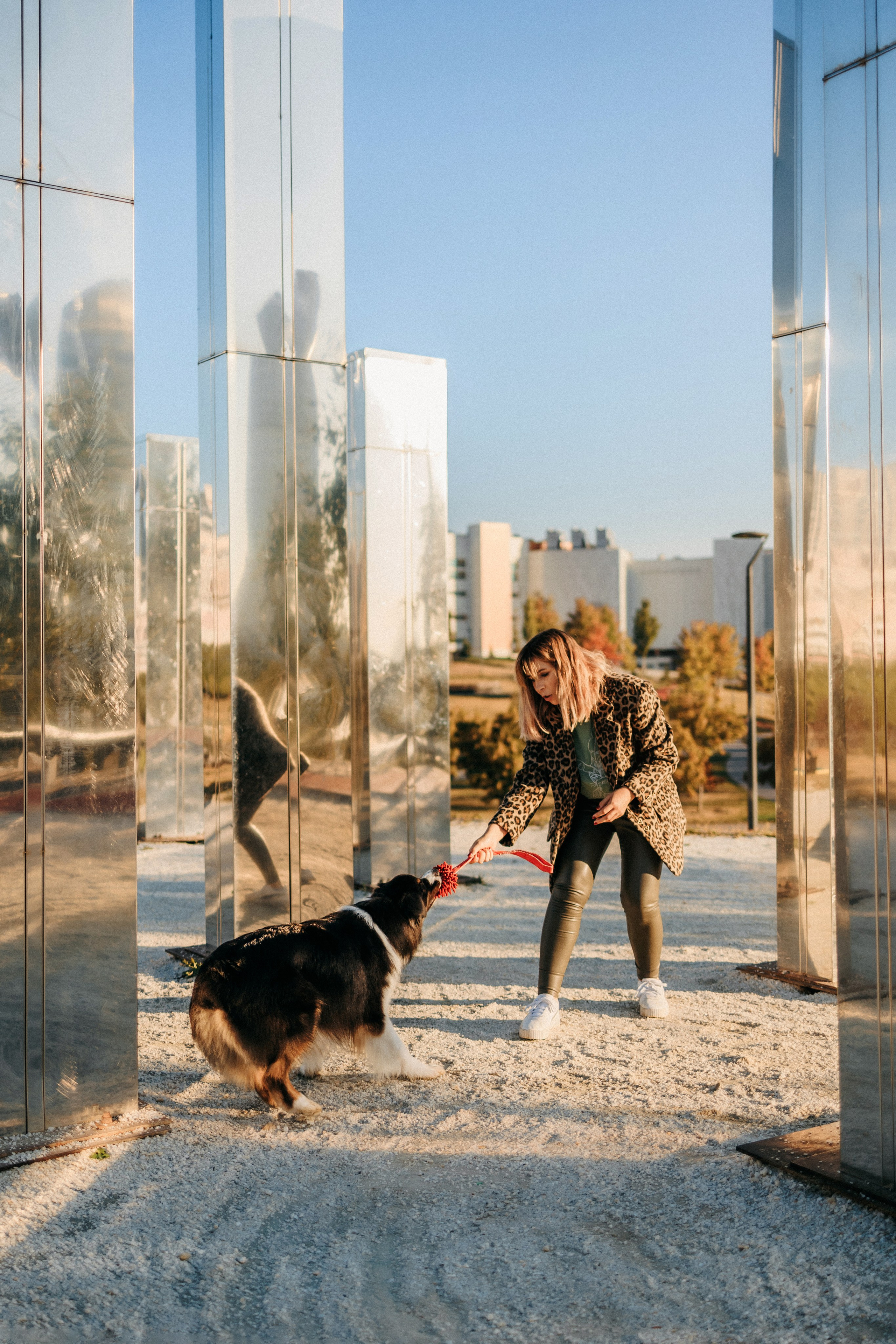 Аня, Чарли и Ева. Фотограф-анималист Елена Радченко, Москва