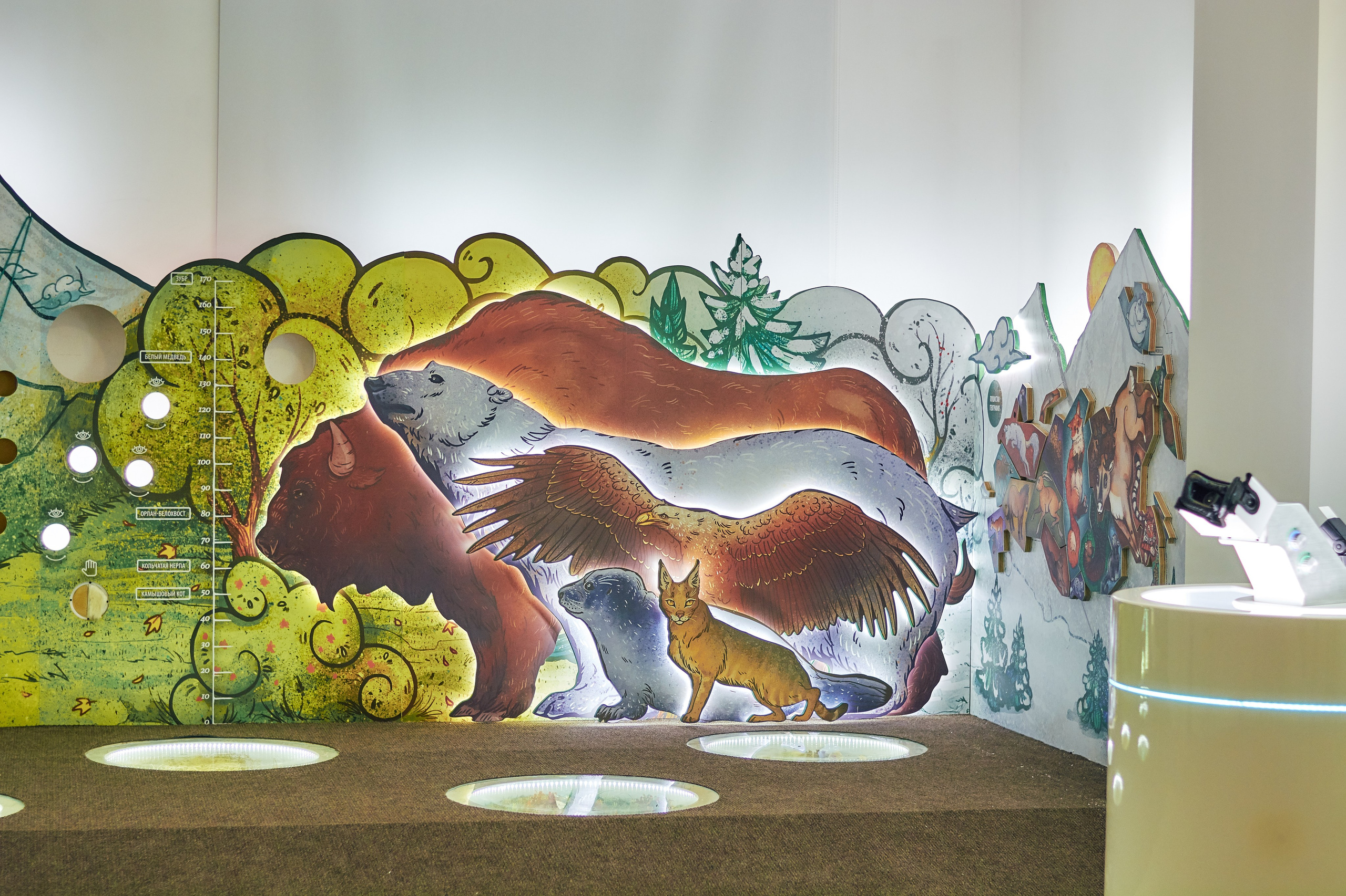 Интерьерная съемка Визит-центр Национальный парк «Кисловодский». Константин Кордонский | Интерьерный и food-фотограф в Кисловодске и КМВ