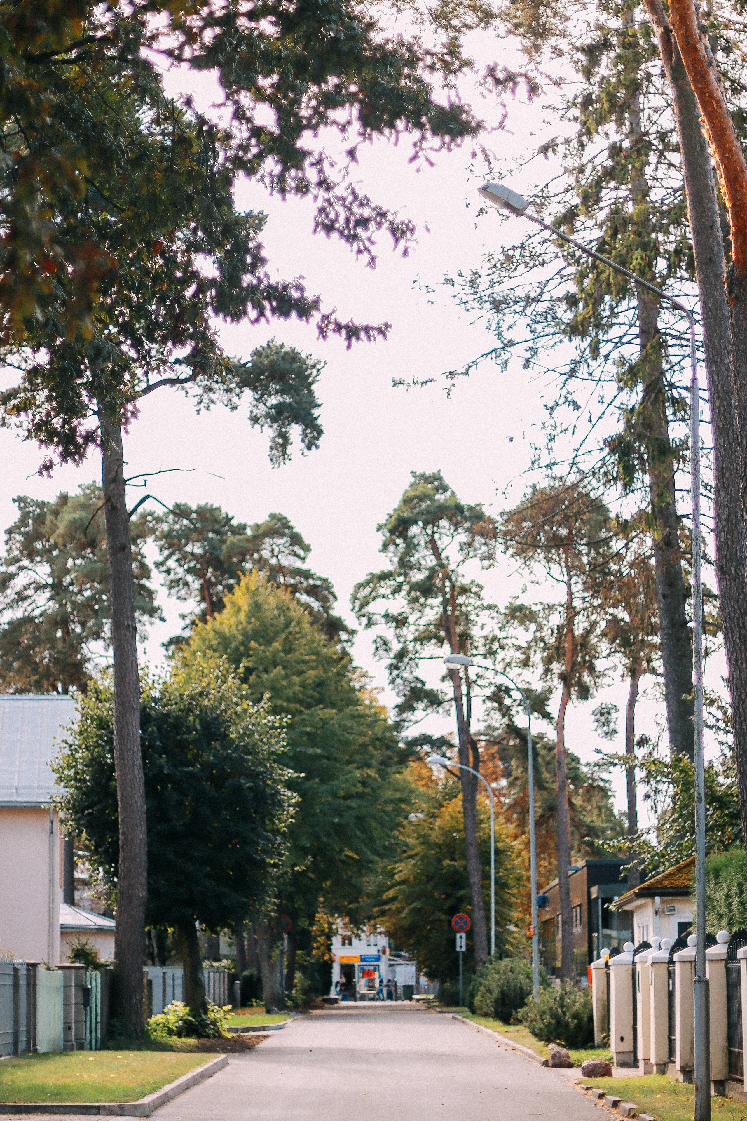 Латвия. Аня Степанова