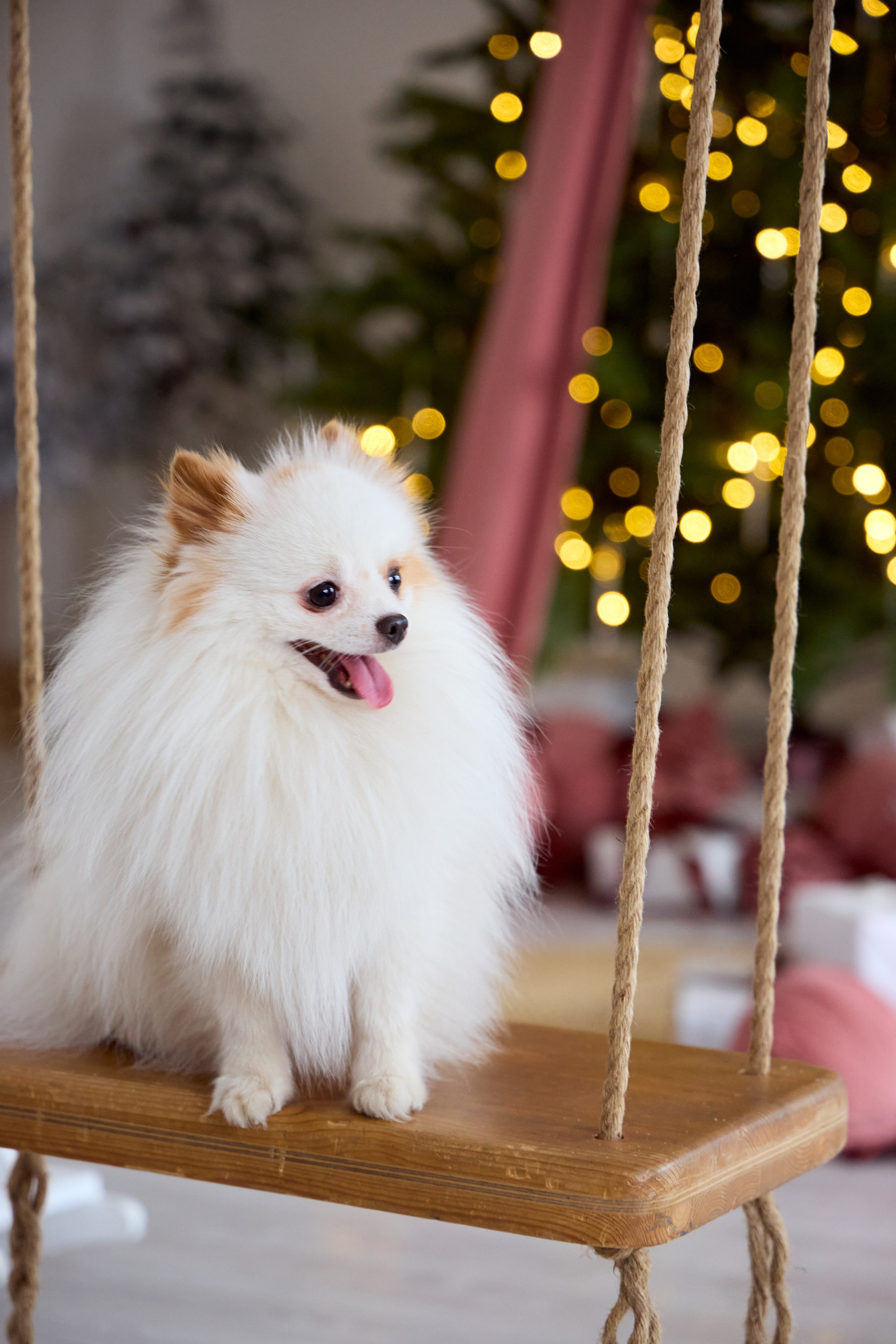 Владимир & Наталья. Валерия Гуртовая | Фотограф, Санкт-Петербург