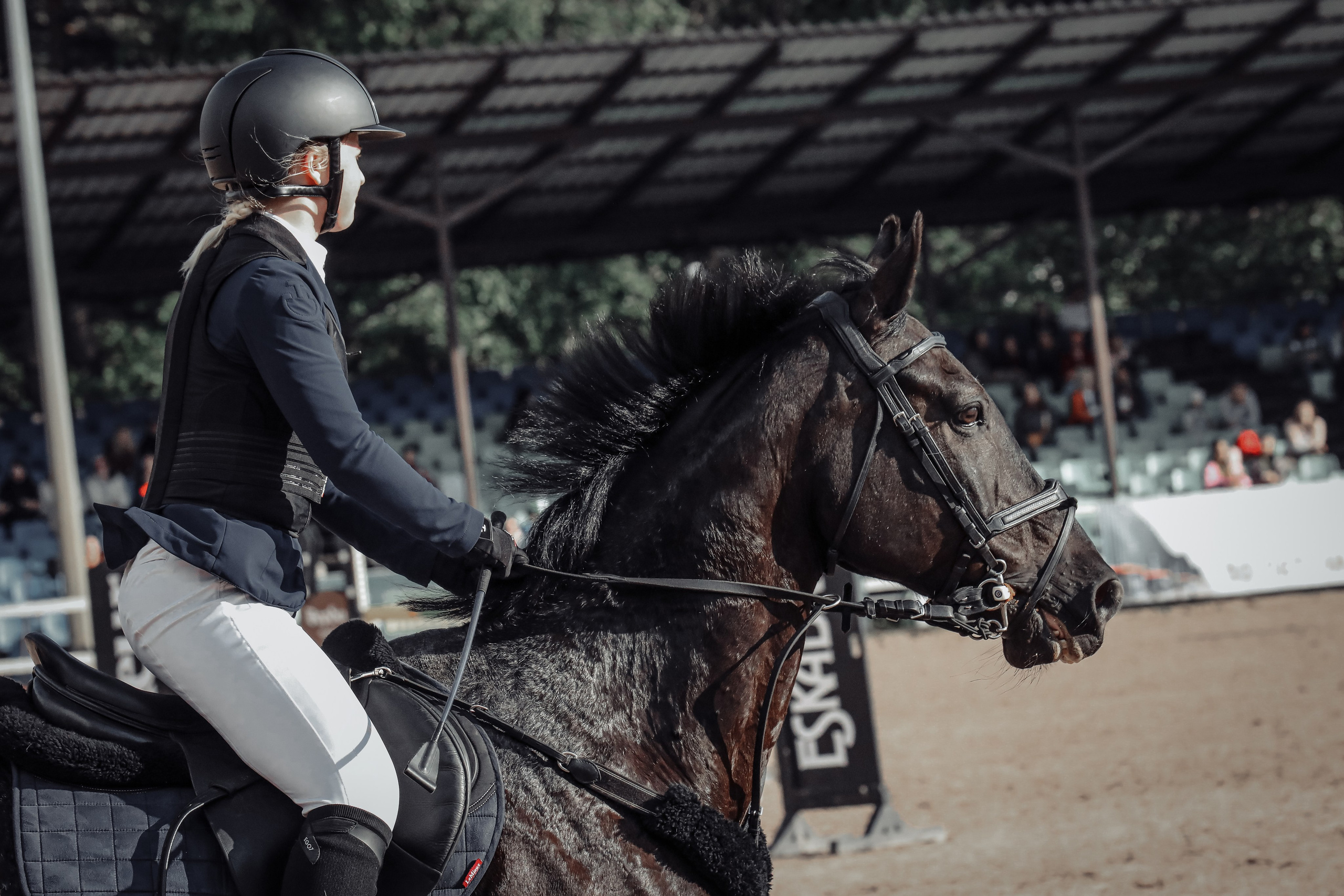 Лошади Евы Демидовой. Ева Демидова. Спортсмен по конкуру в Санкт-Петербуре