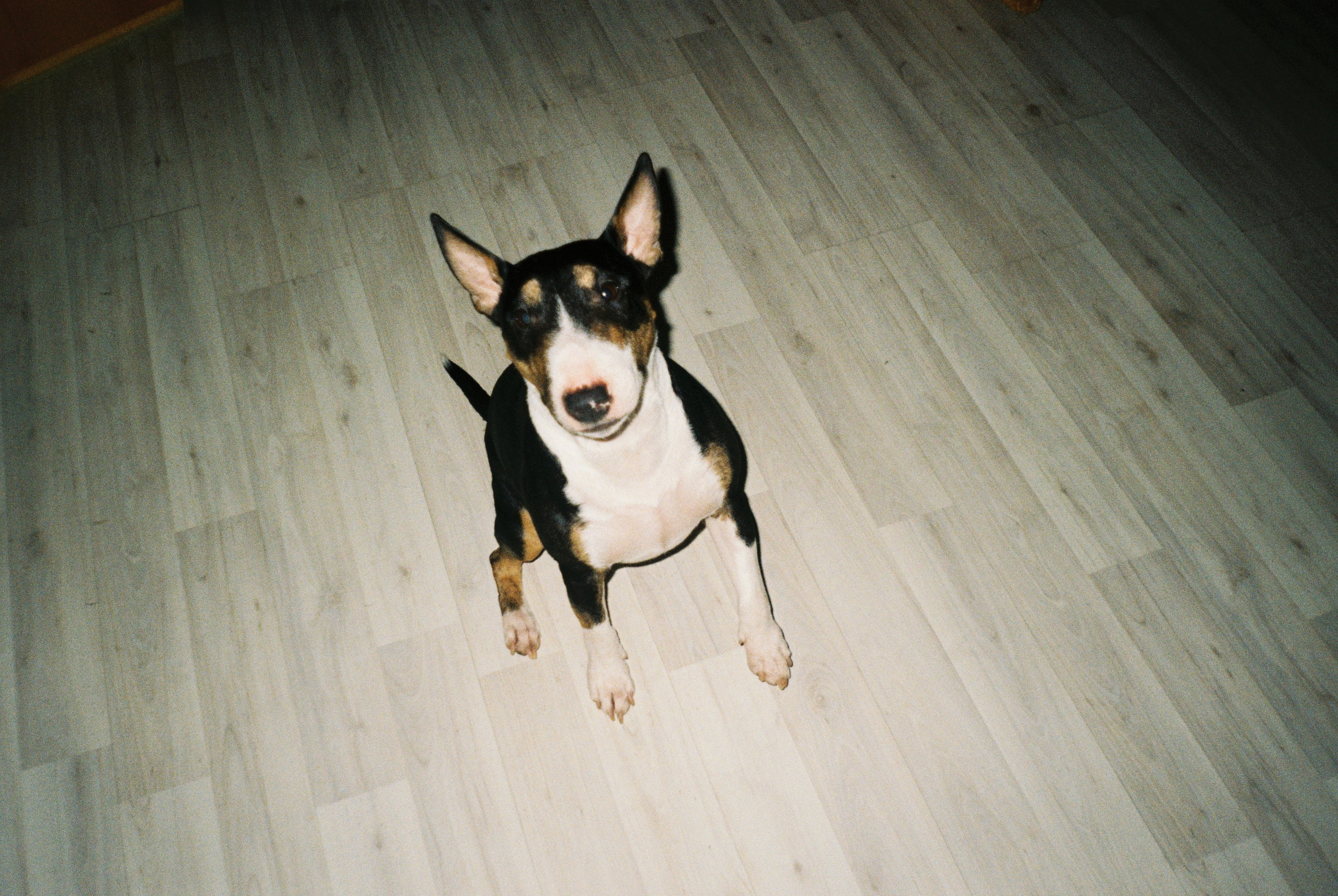 Плёнка. Человек в Шляпе