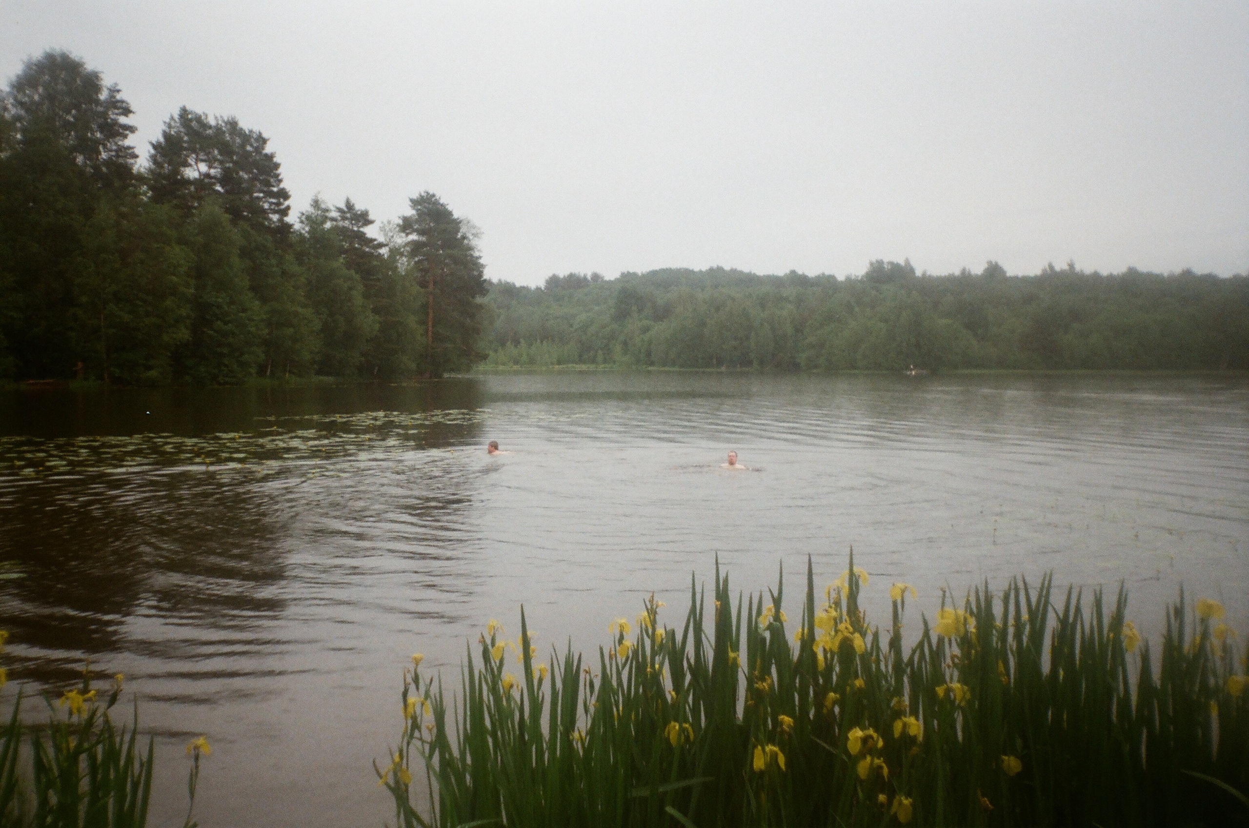 Плёнка. Человек в Шляпе