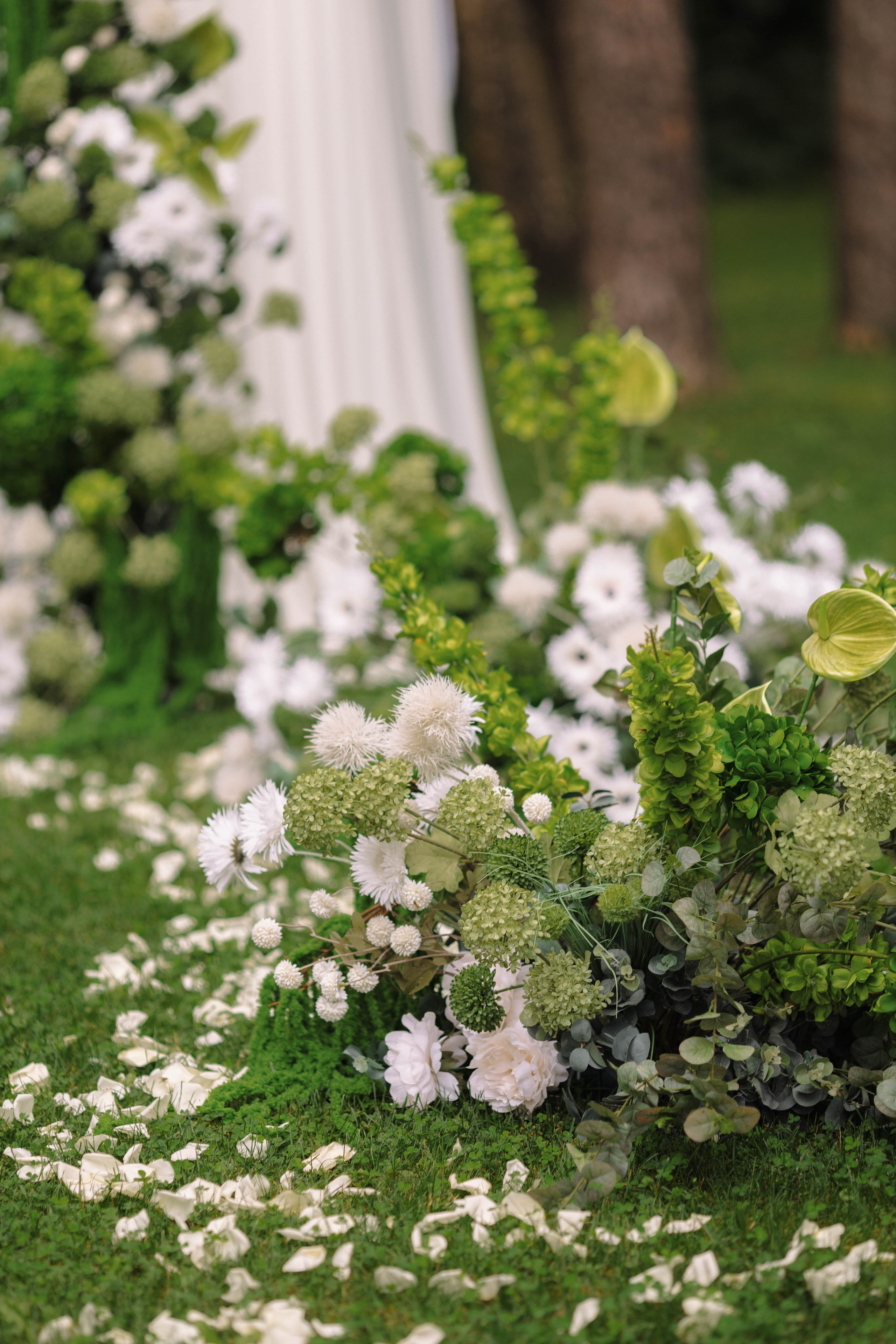 Зеленый сад