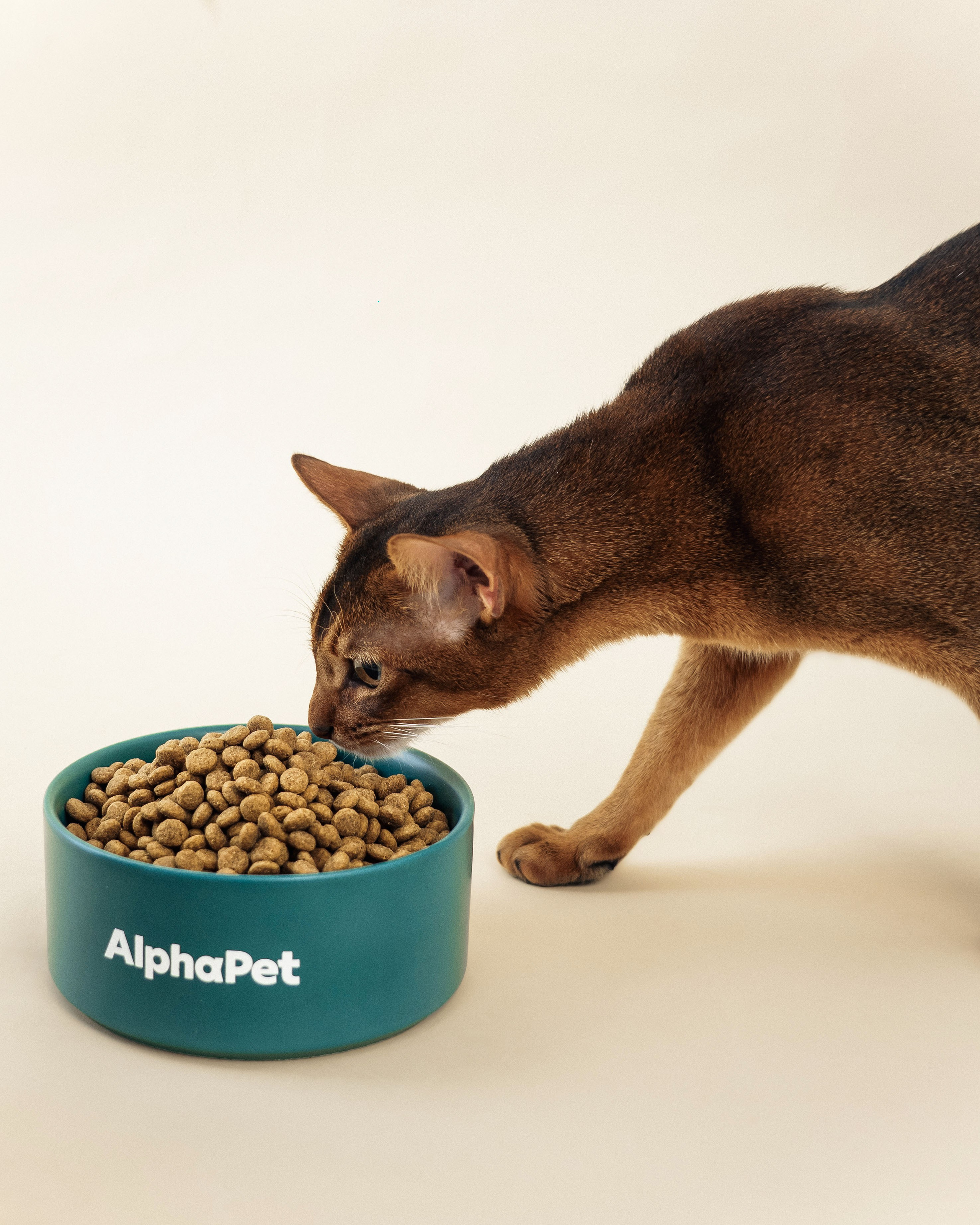 AlphaPet. Фотограф Москва
