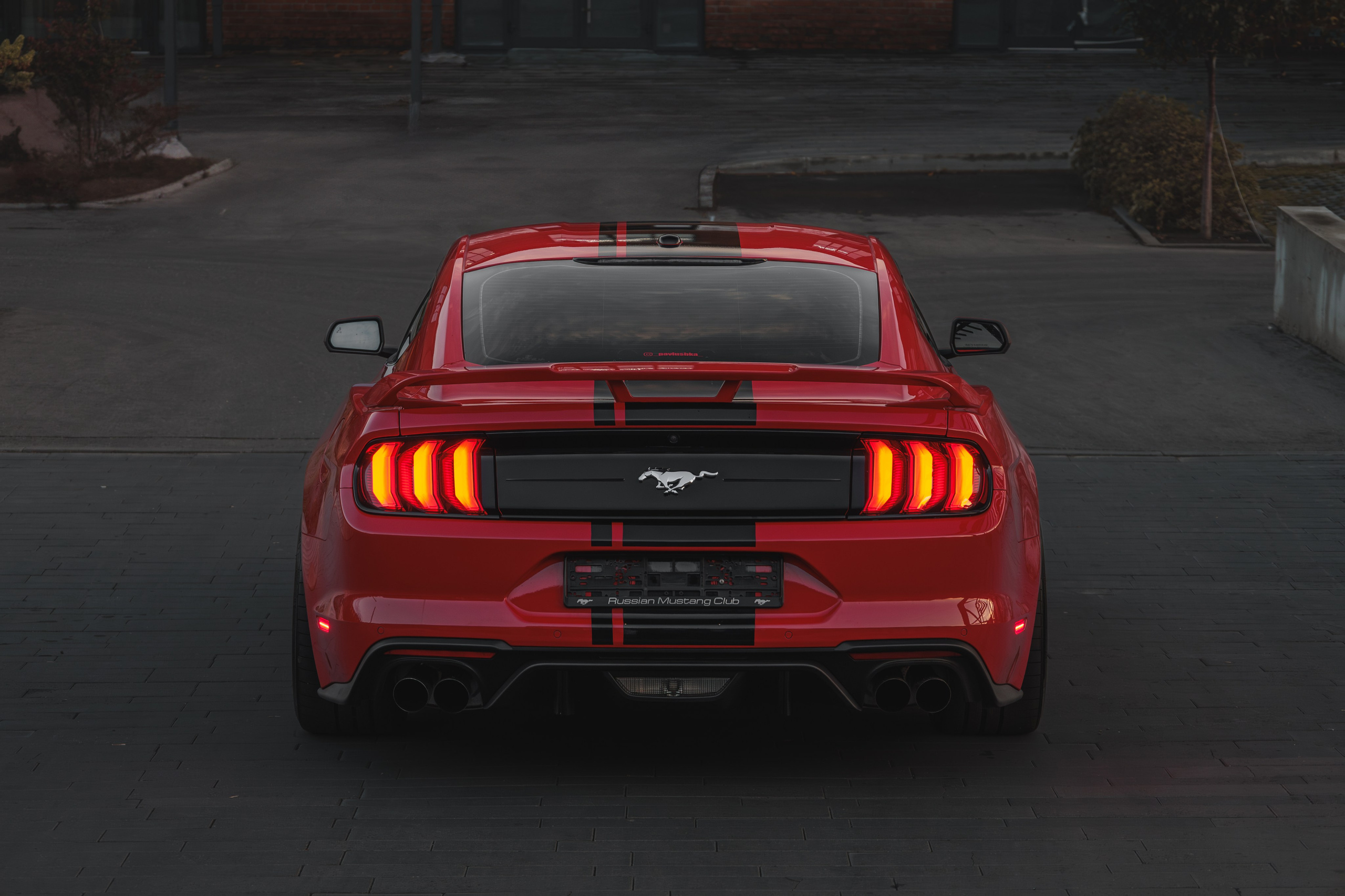 Mustang. Мелехов Дмитрий|Фотограф|Видеограф