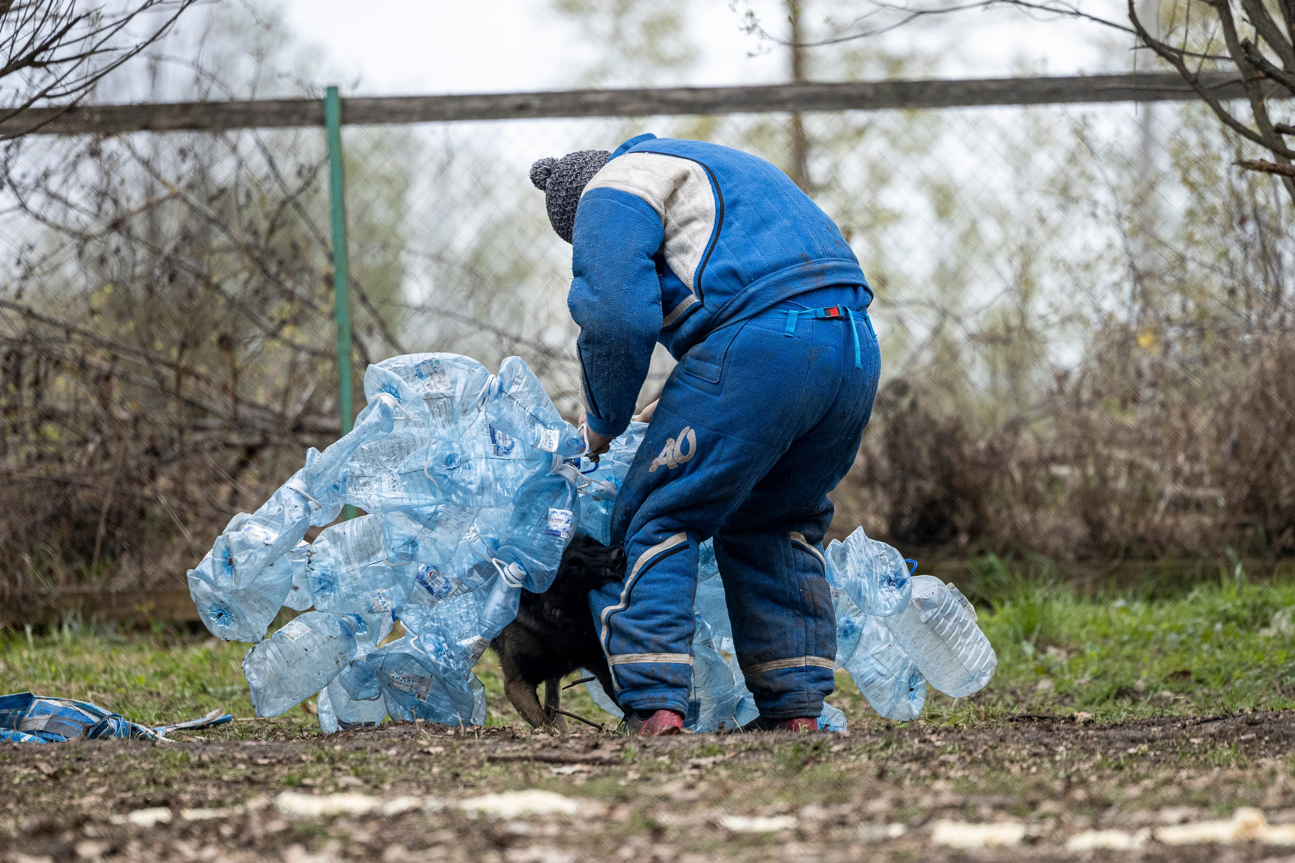 Квалификационные состязания по мондьорингу г. Вологда 11.05.24. Фотограф-анималист Анна Маринич