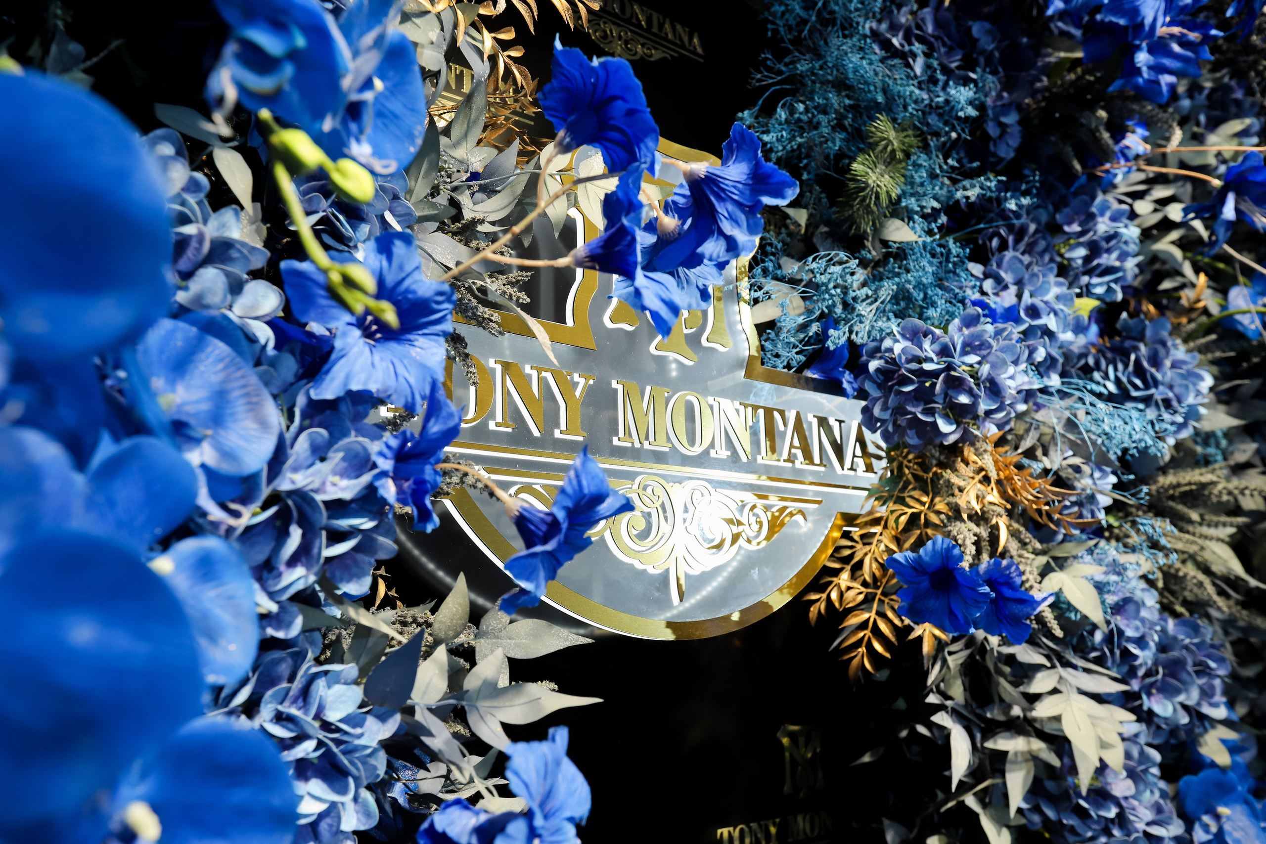 Tony Montana. Фотограф в Краснодаре Анна Светикова