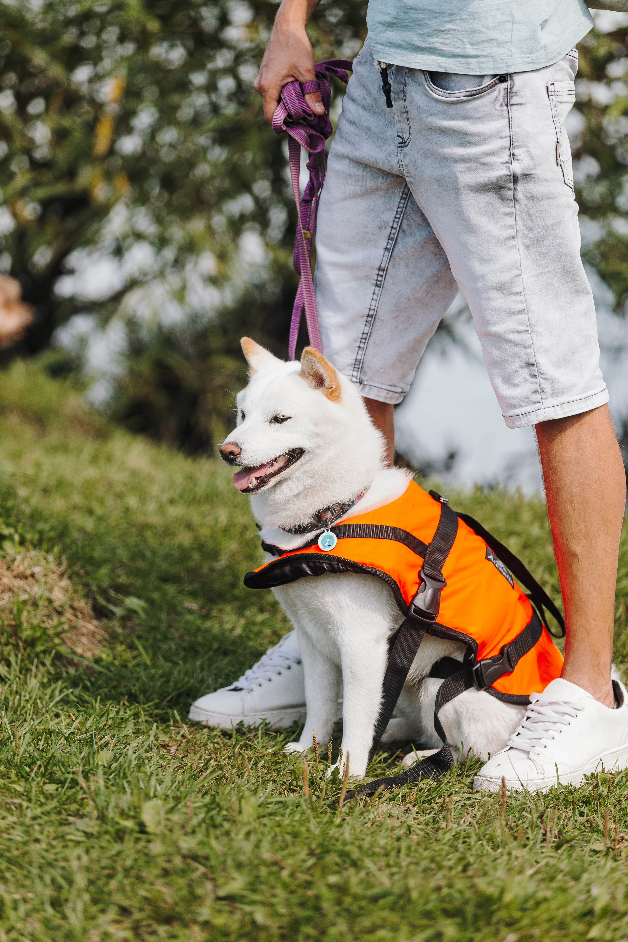 Petshop Sup day. Фотограф анималист Кристина Карпова, Москва