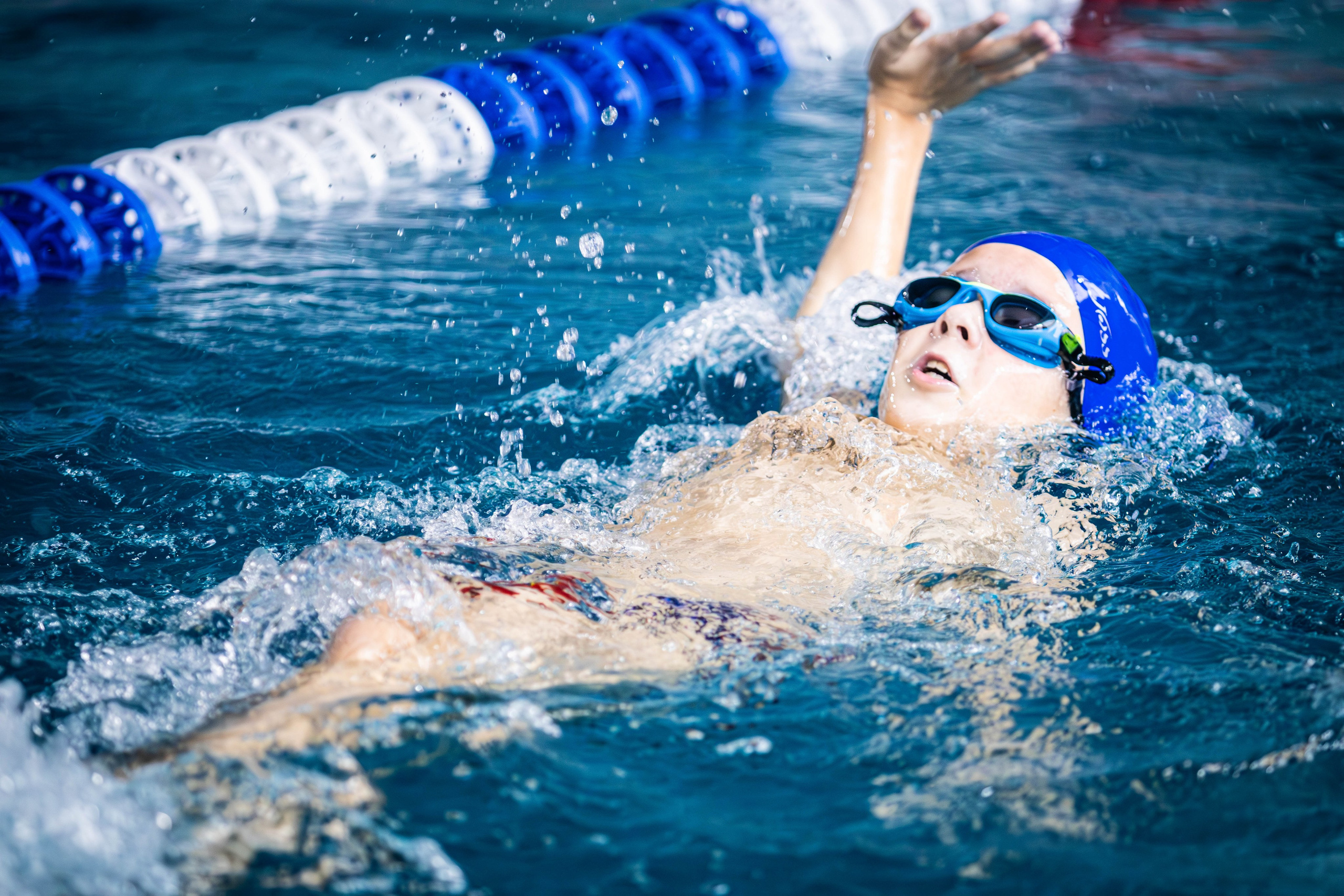 Фотосессия соревнований по плаванию в Пушкино Московской области