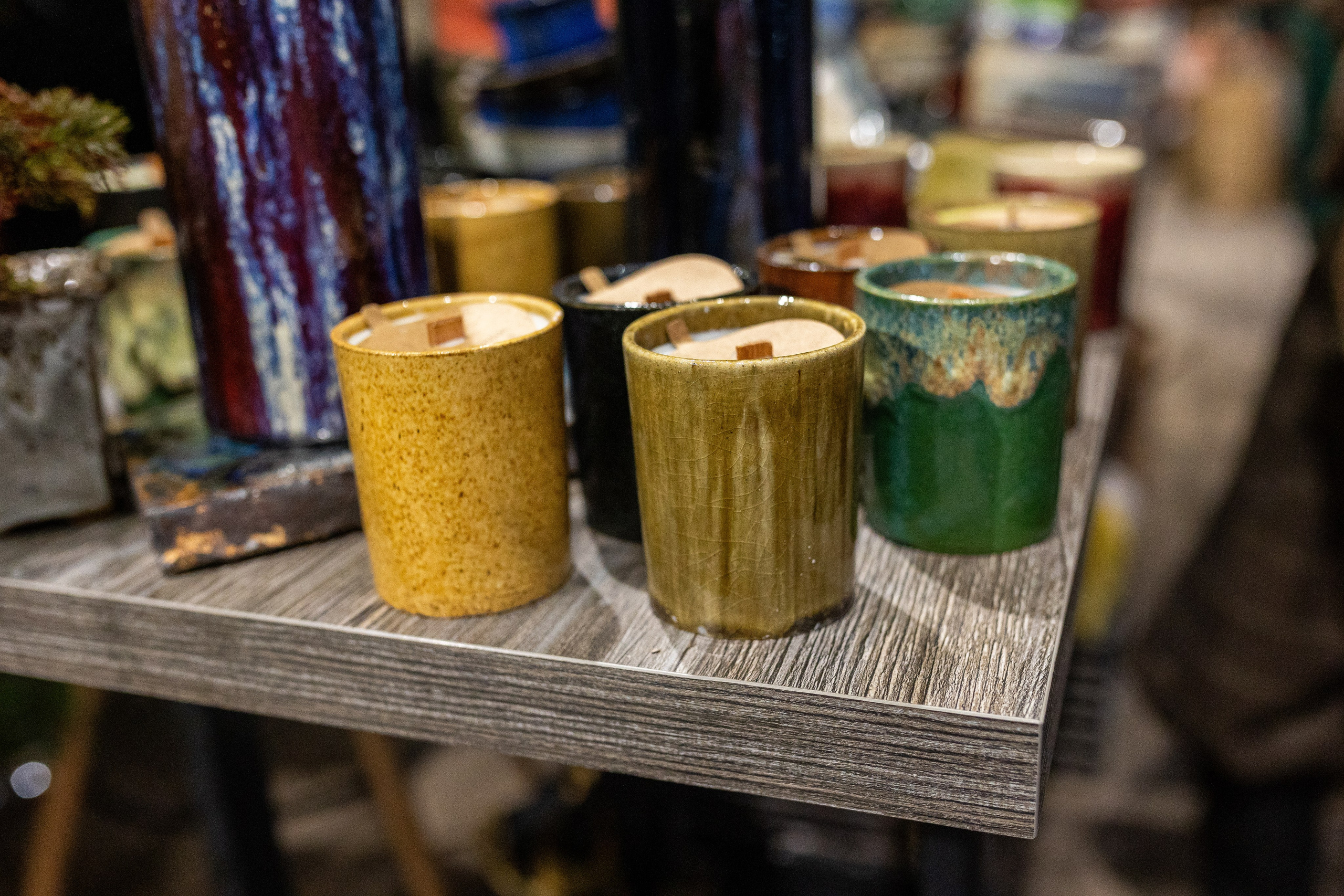 GreenRare ярмарка 2024. Александра Куликова фотограф, Москва