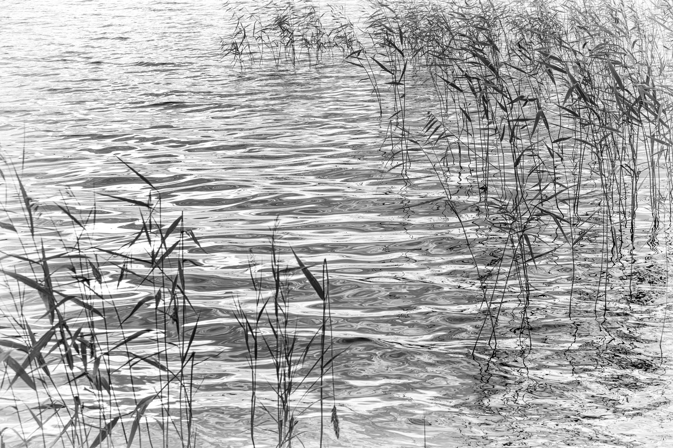 Фотограф Ольга Дунаева