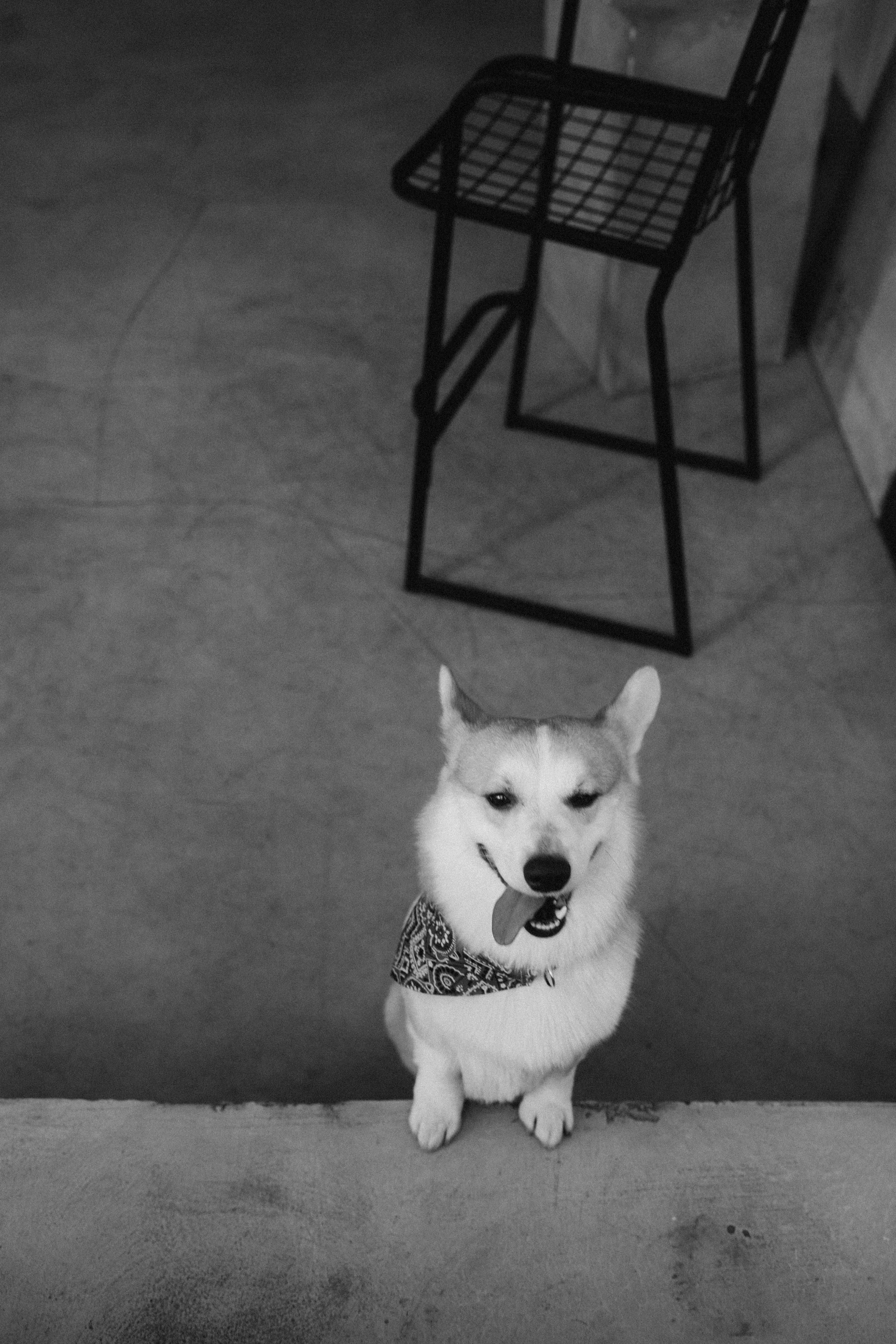 With Dog. Фотограф Батуми | Ксения Кинасова