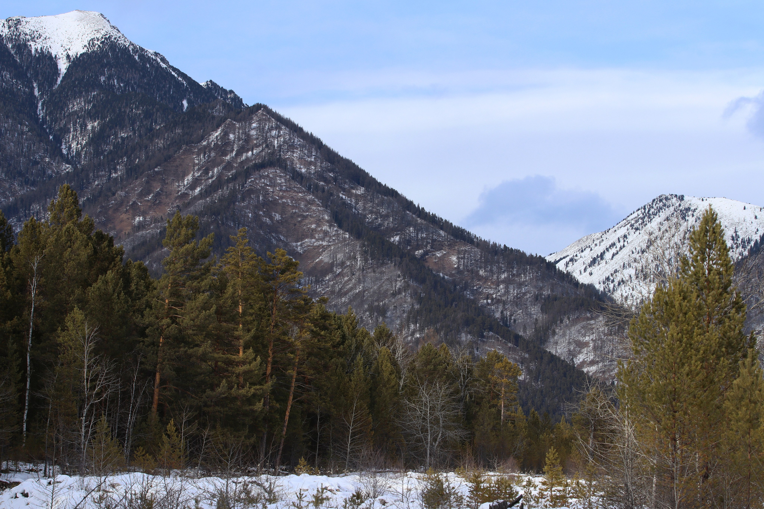 Аршан. Февраль 2025. Путешественник-фотограф из Санкт-Петербурга Татьяна Свистулина