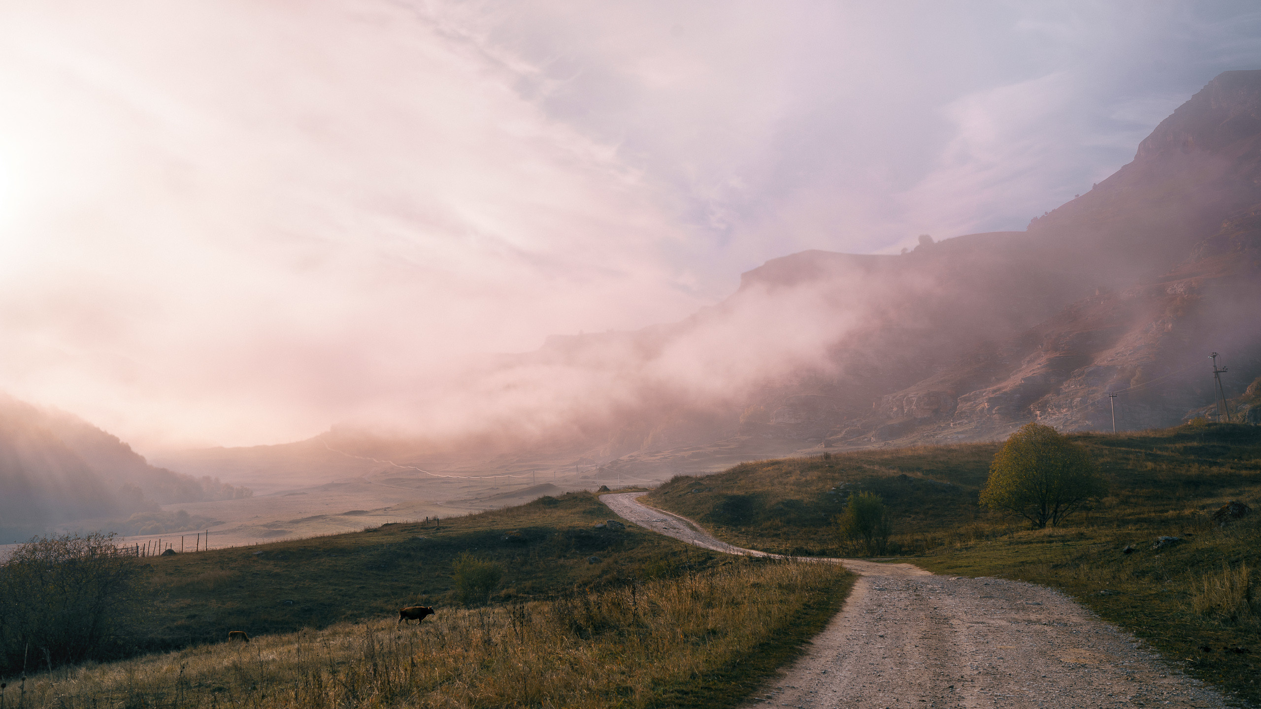 Главная. Портретный фотограф в Москве Ланин Сергей