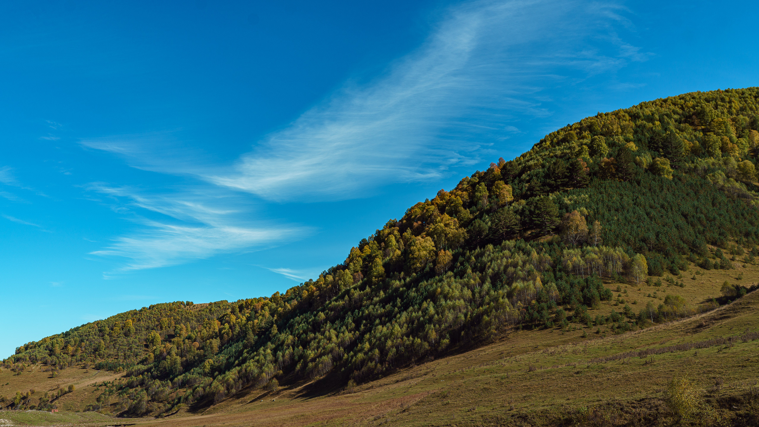 Главная. Портретный фотограф в Москве Ланин Сергей