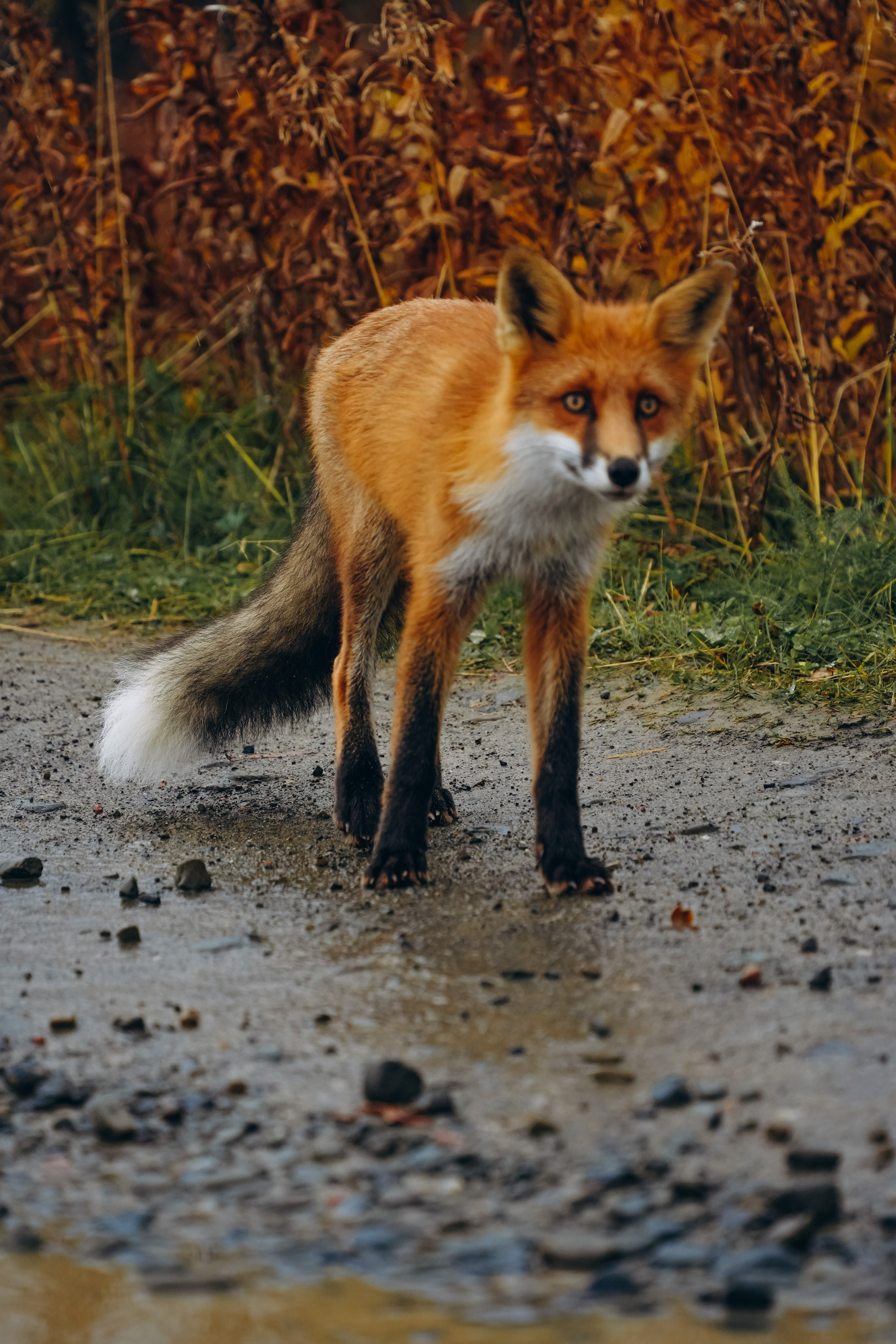 СЕВЕР. Event фотограф Степанова Александра