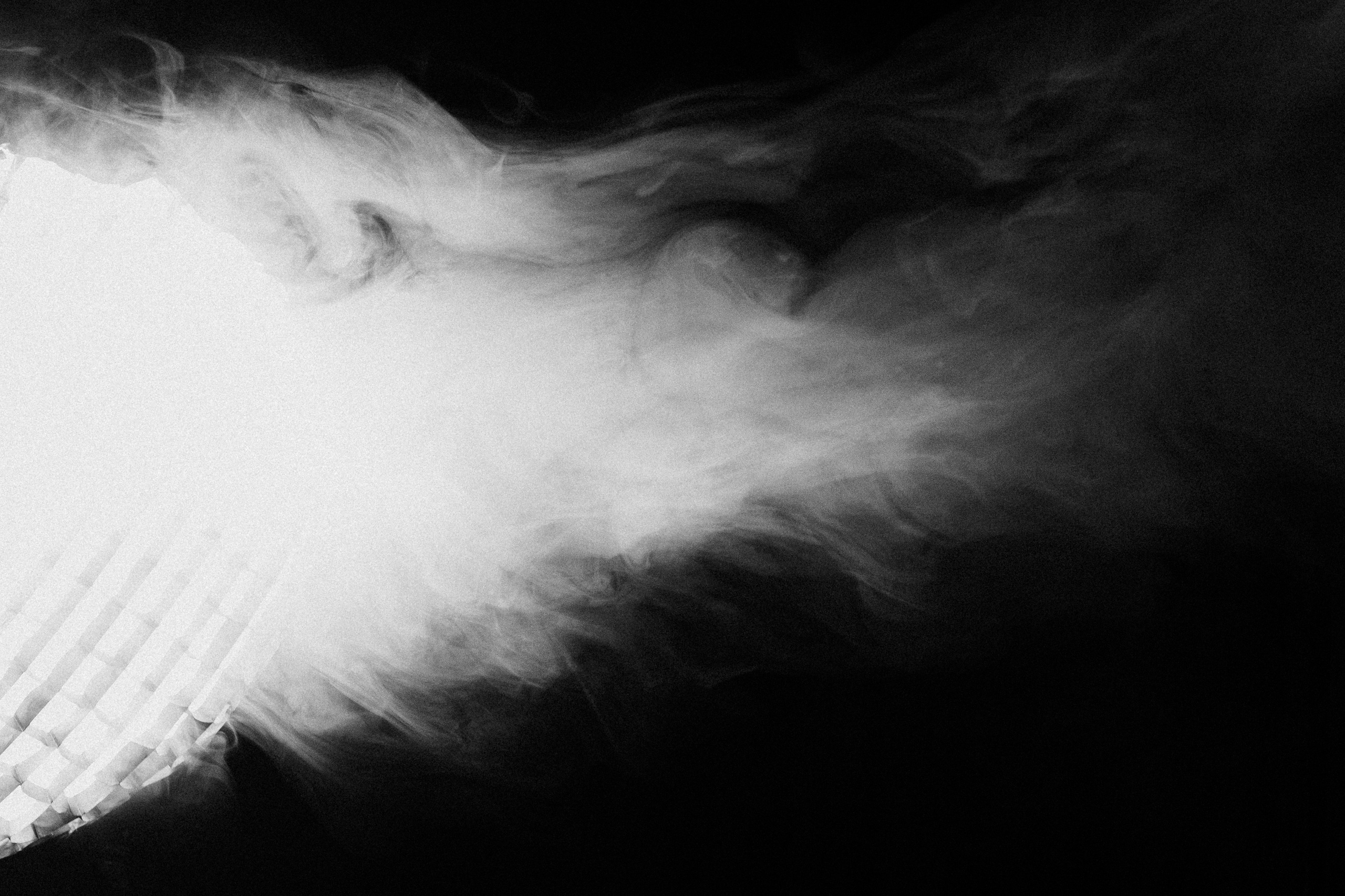 Софи Подводная съёмка. Семейный и свадебный фотограф в Краснодаре Елизавета Замаева