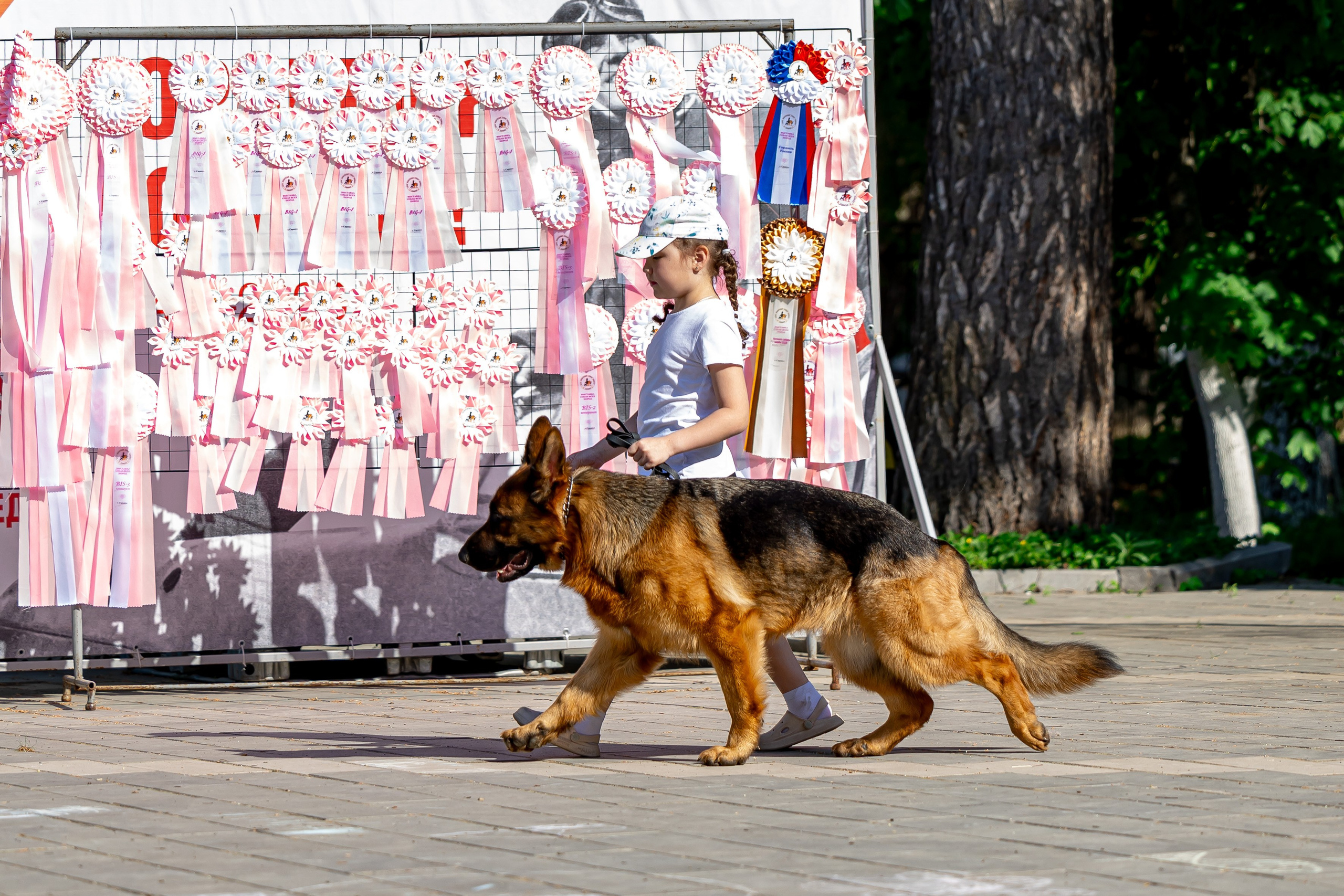 Собаки. Фотограф Яна Матвеева в Ижевске