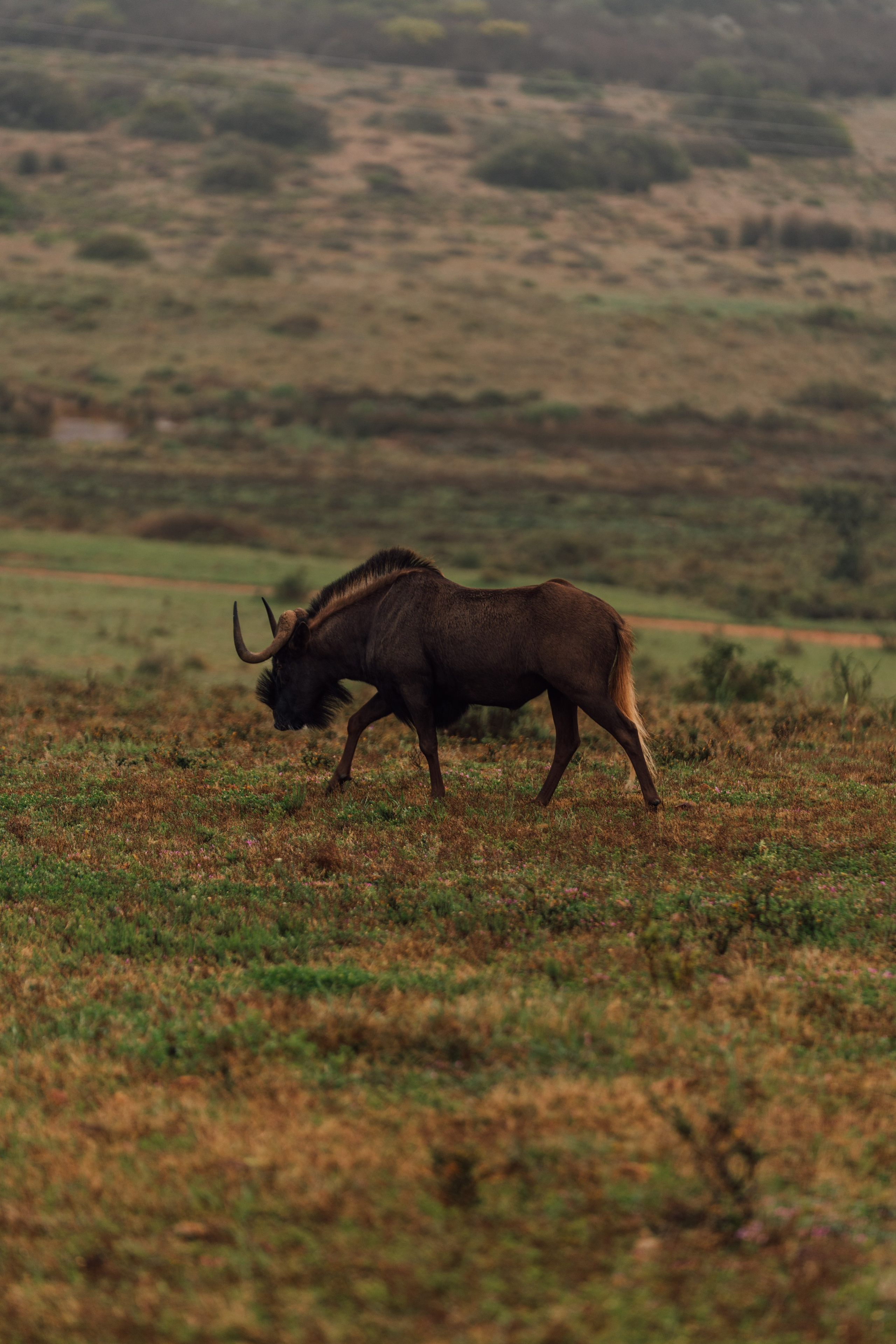 Africa/UAR. @oljiofilm: Олег Иванов — фотограф