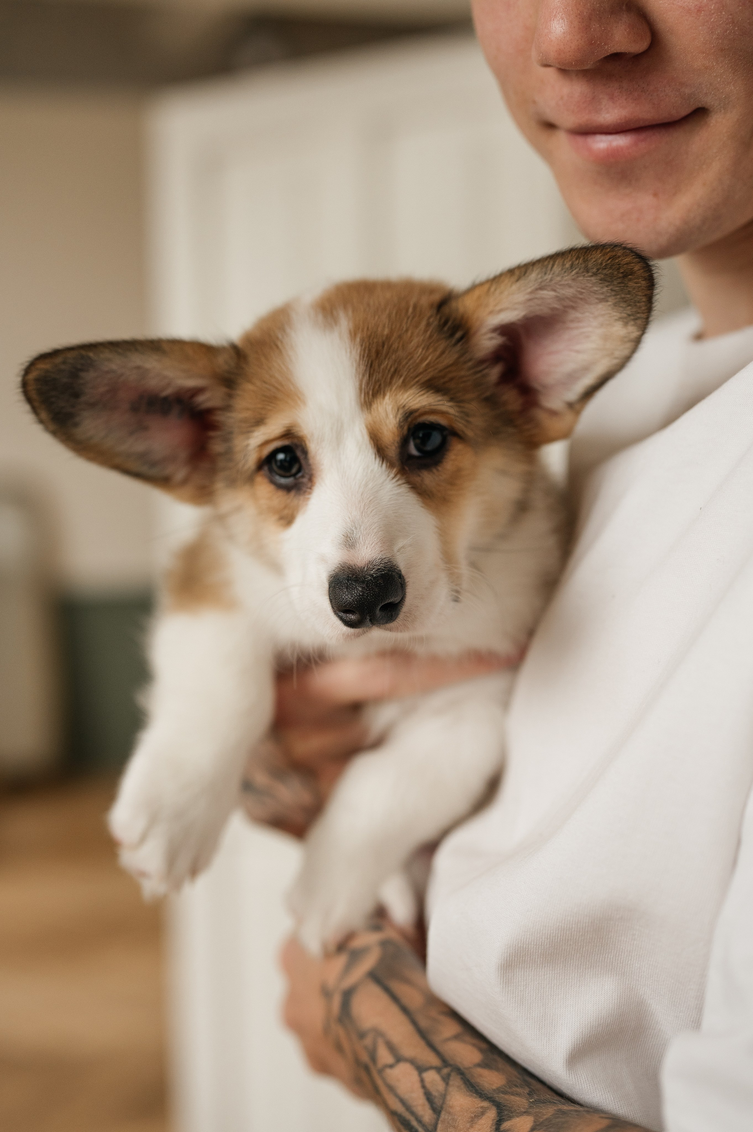 Миша, Маша и Боня. Свадебный и семейный фотограф в Краснодаре Алина Мельник