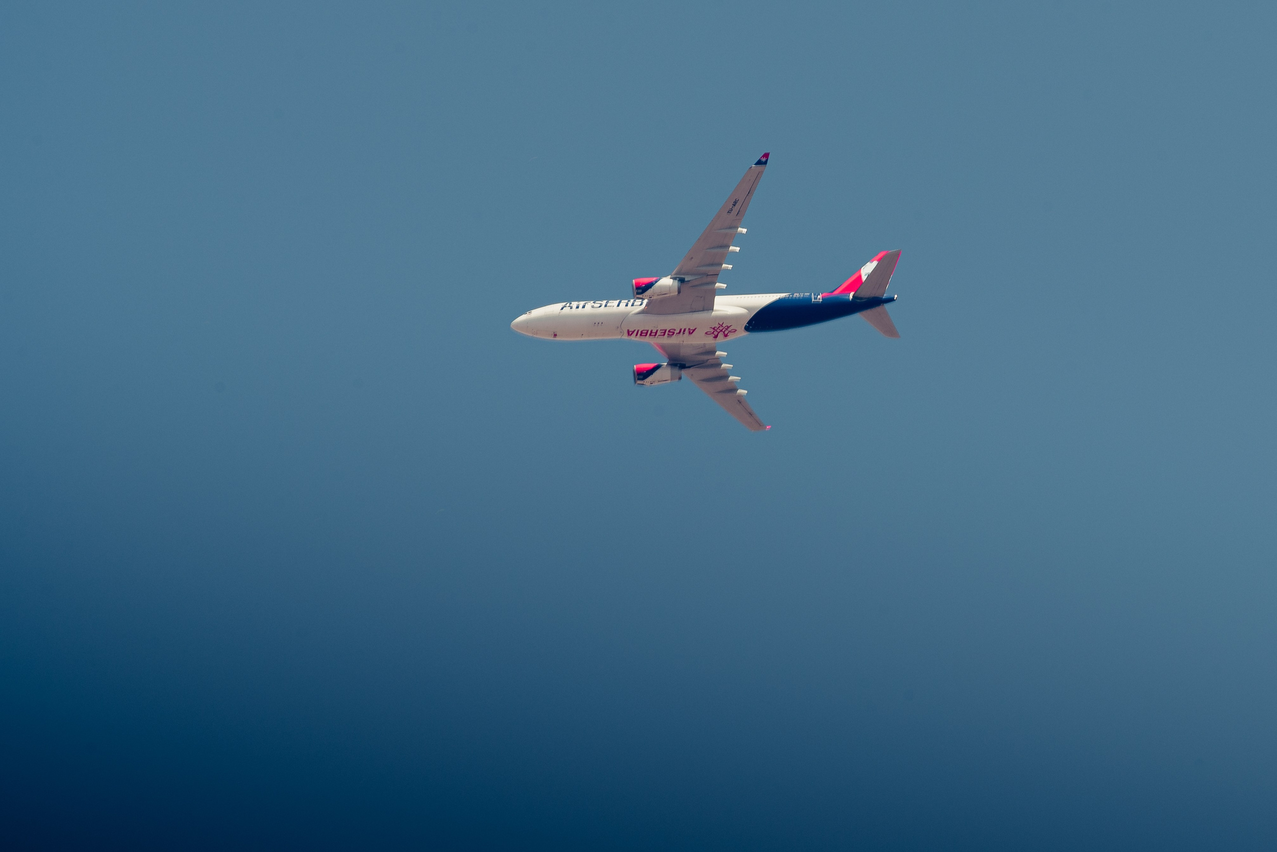 2024 Национальный Чемпионат Сербии. Елена Чеснокова спортивный фотограф во Владимире и Белграде