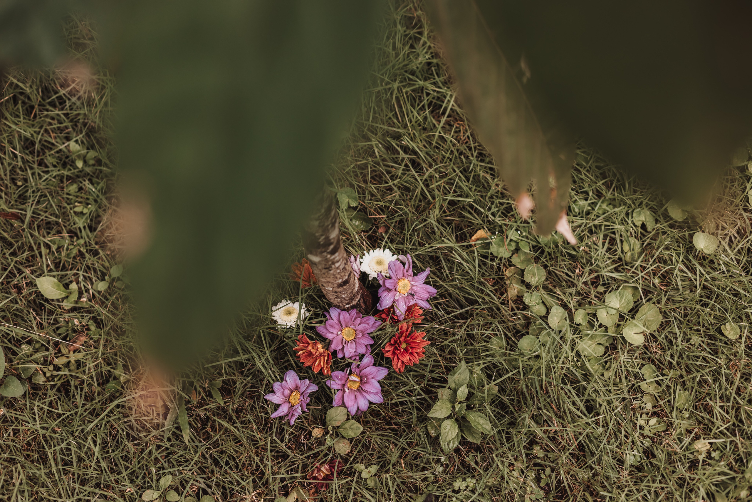 Cacao alchemy w Juan. Мариам Багдасарян