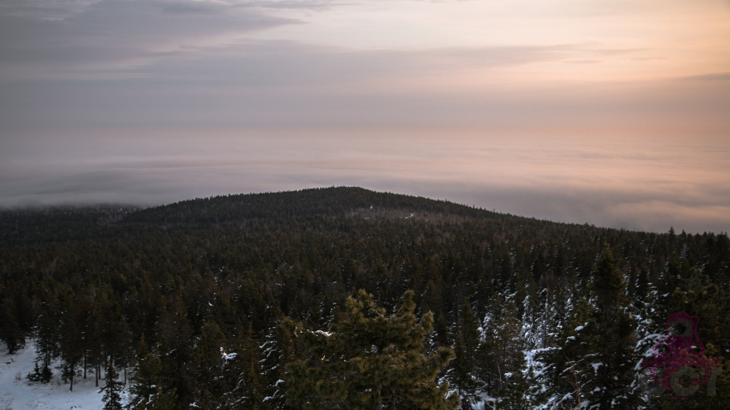 Буддистский монастырь Шад Тчуп Линг. Предметный и репортажный фотограф Алексей Кротов