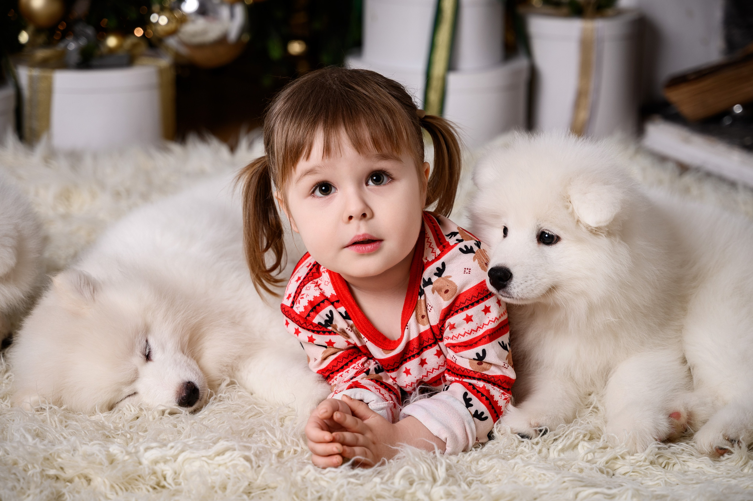 Фотосессия в студии, услуги и цены у профессионального портретного фотографа в СПб. Фотостудия, Портрет, Ню, Будуар, Детская фотосессия. Фотограф Алексей Лукин. Профессиональная фотосъёмка в Санкт-Петербурге. Обработка и Ретушь фотографий