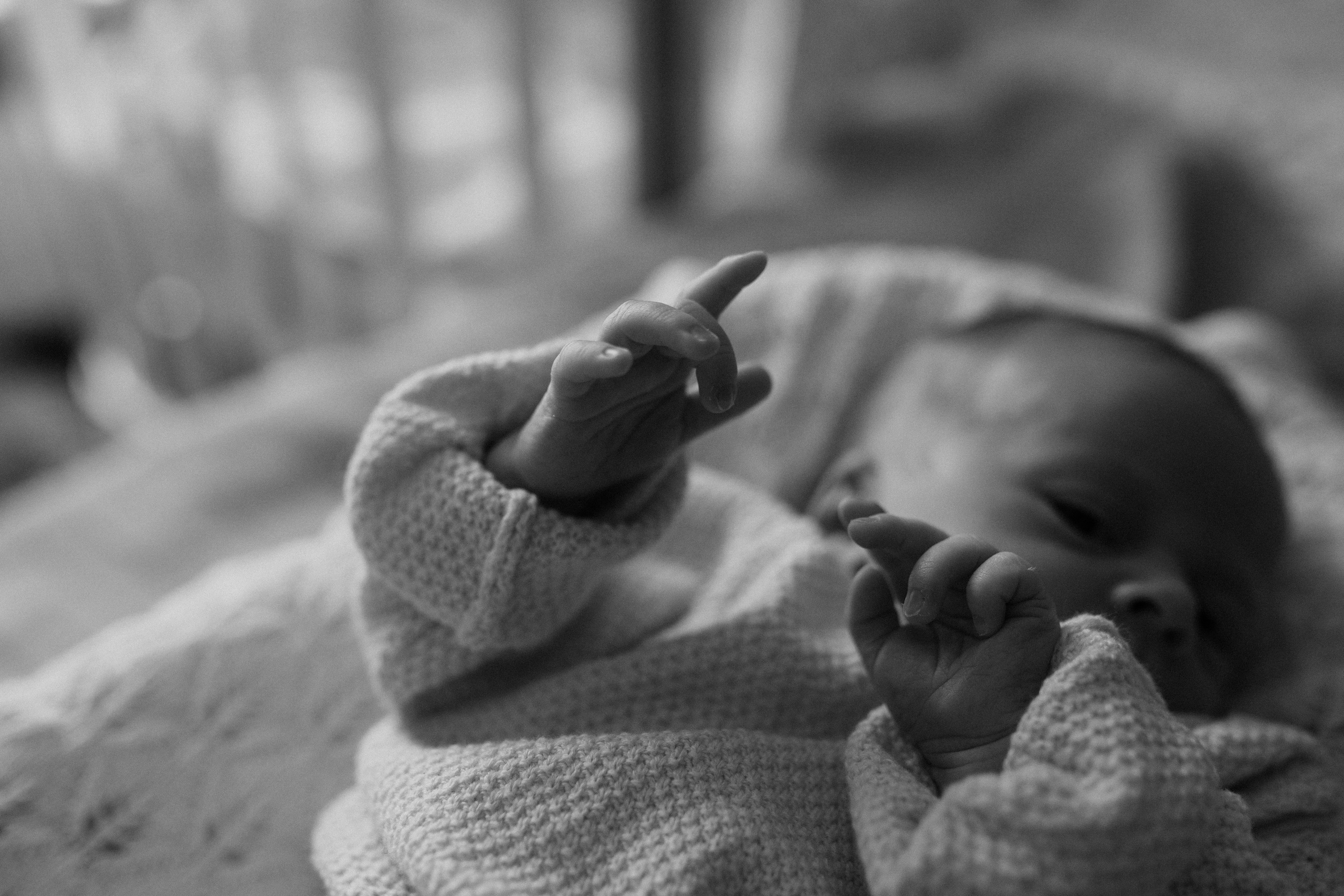 Лена, Игорь, Арина, Агата. Семейный фотограф Москва