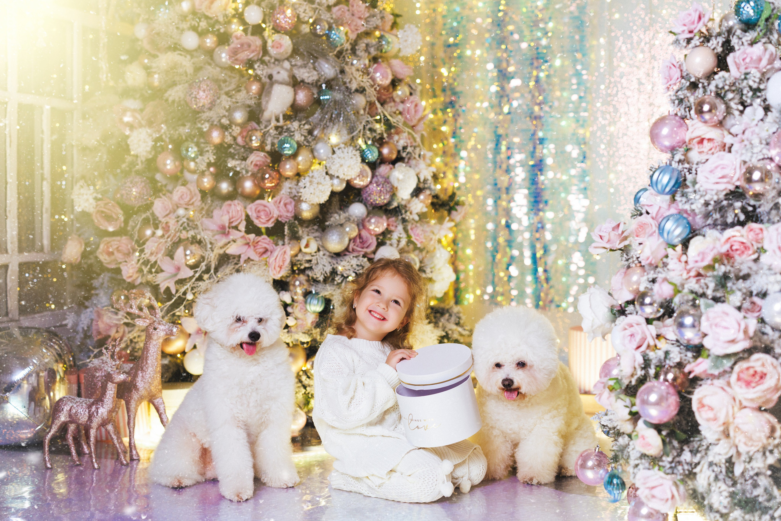 Новогодняя фотосессия в фотостудии «Авторская», город Краснодар. Семейный и детский фотограф в Краснодаре Анна Трашкова