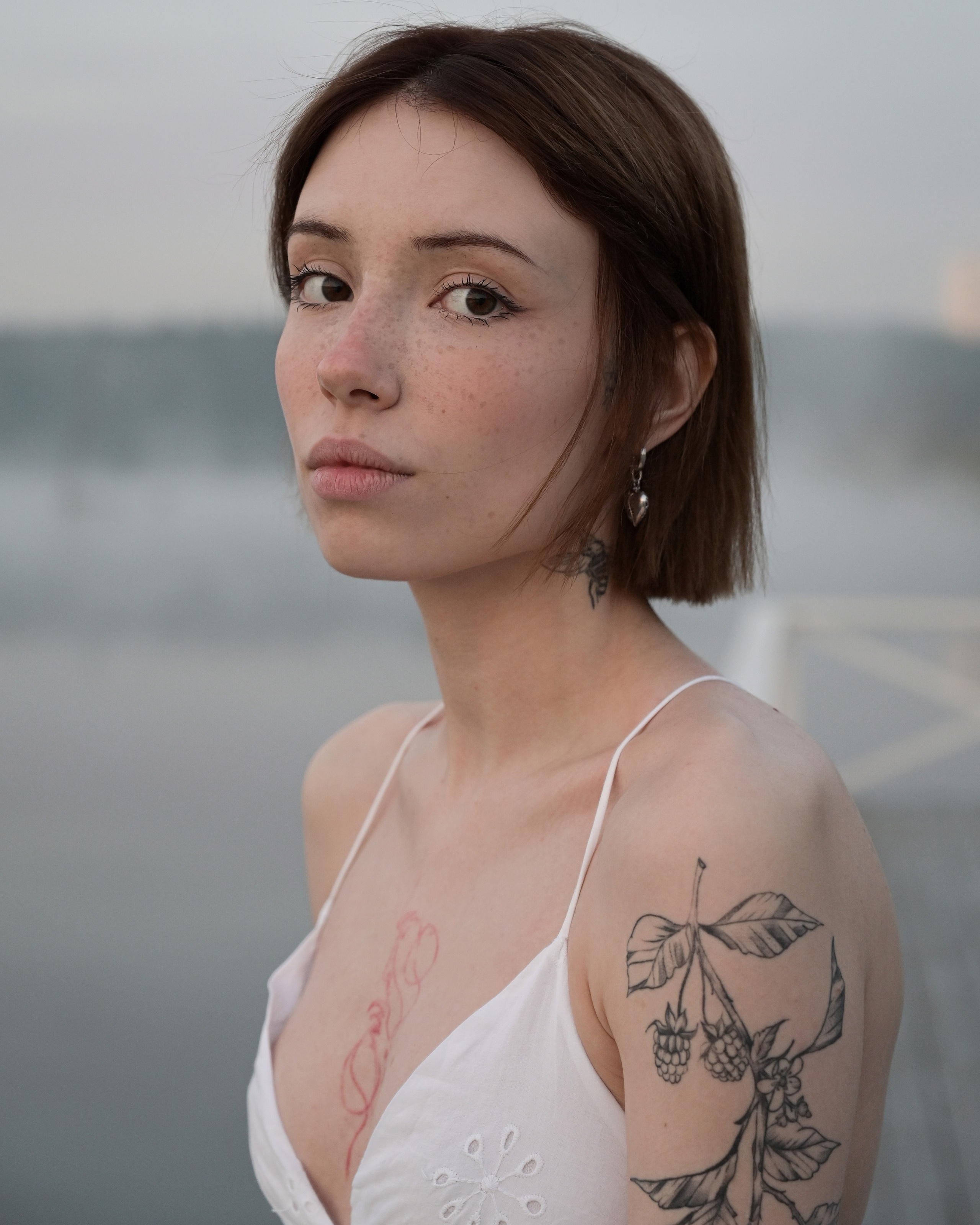 Annushka. Dmitry Ganin