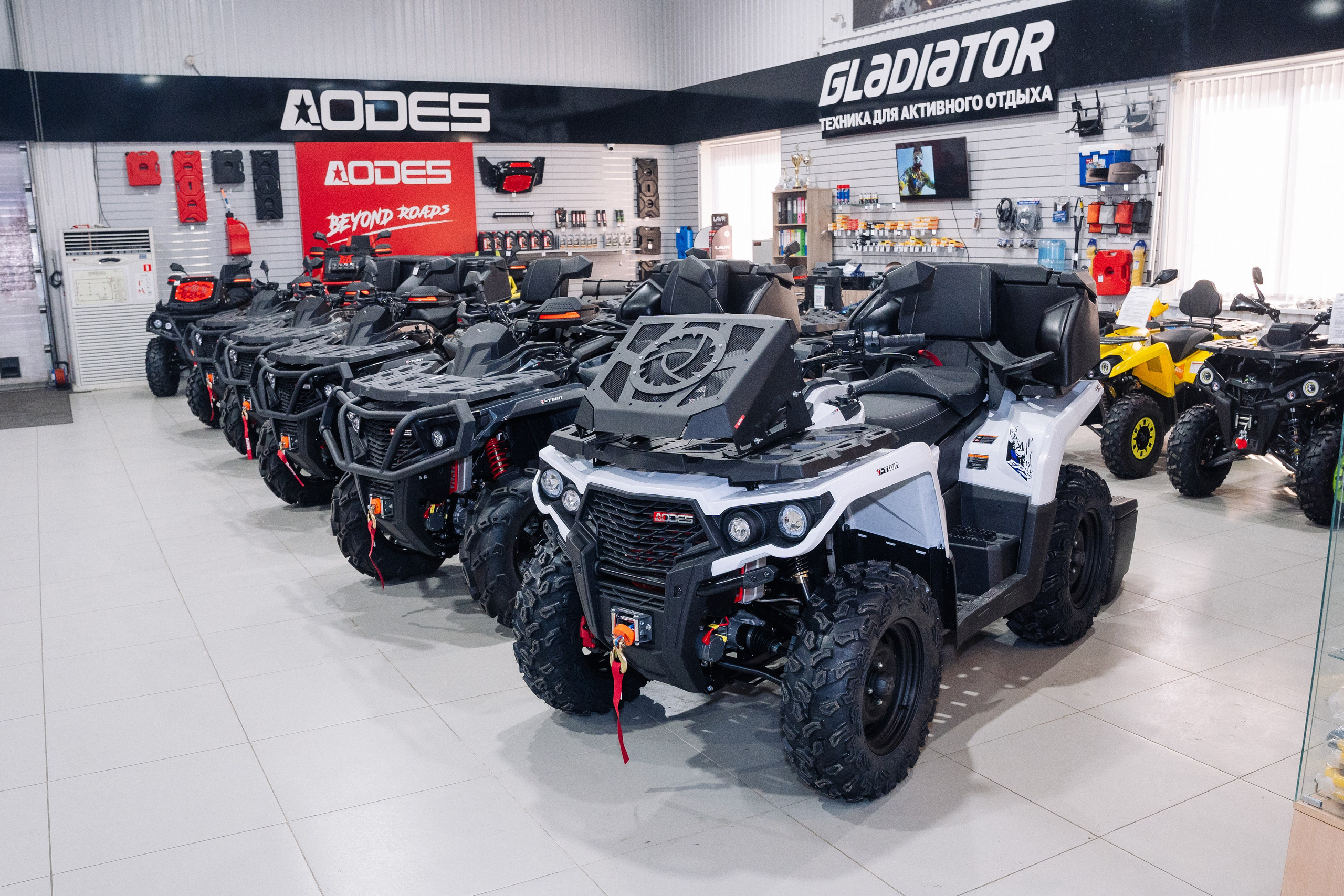 GLADIATOR. Фотограф Хабаровск