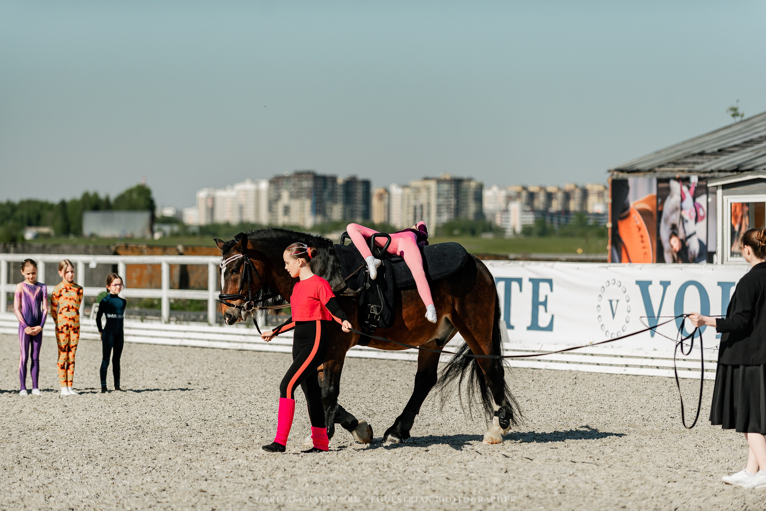 РЕПОРТАЖ МКК ВОЛЬТ «LA TULIPS». Конный фотограф Куракина Дарья • Фотосессии с лошадьми