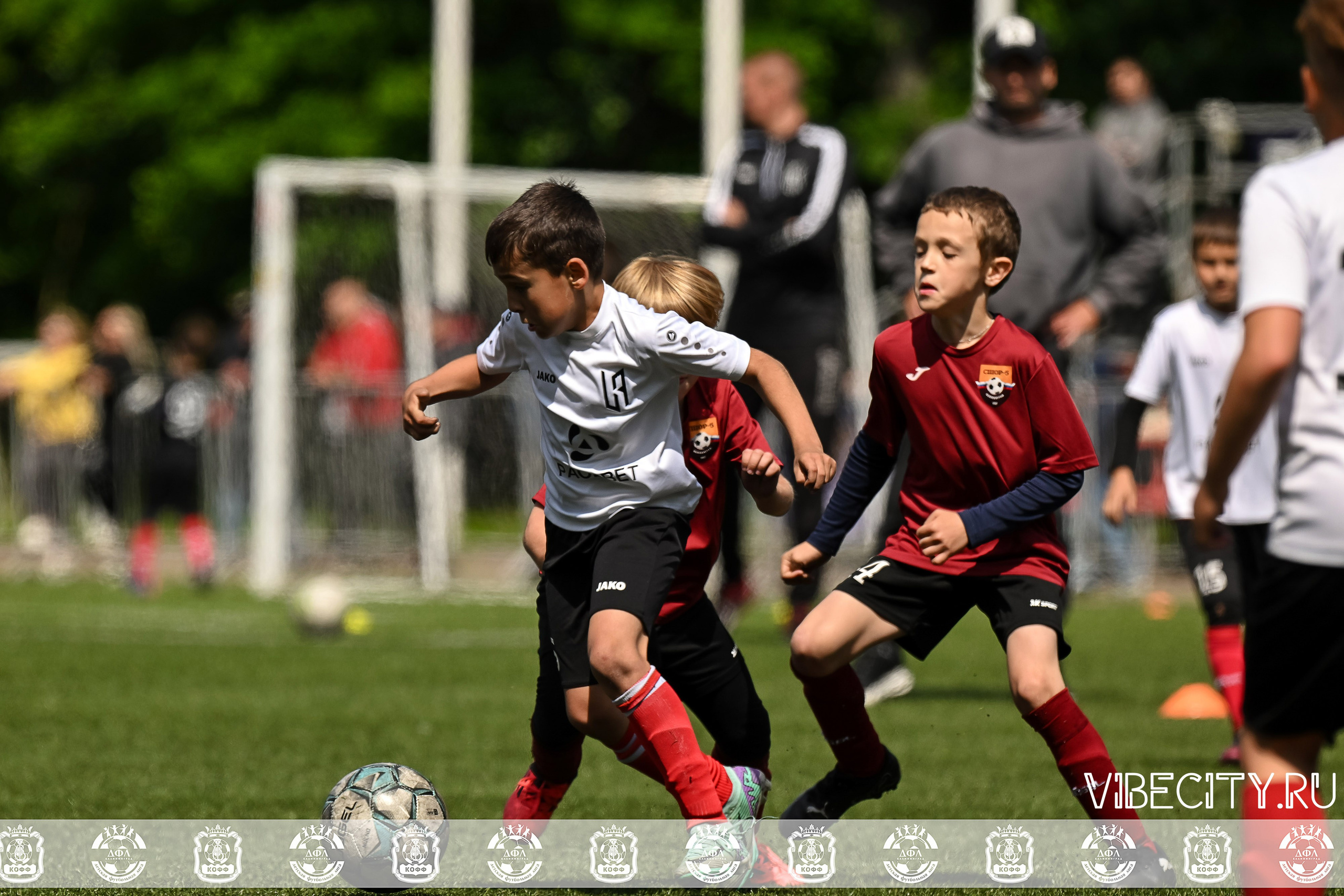 Большие Звезды светят Малым. VIBECITY.RU Вайб Сити Ру Фоторепортажи Фотоотчеты Калининград