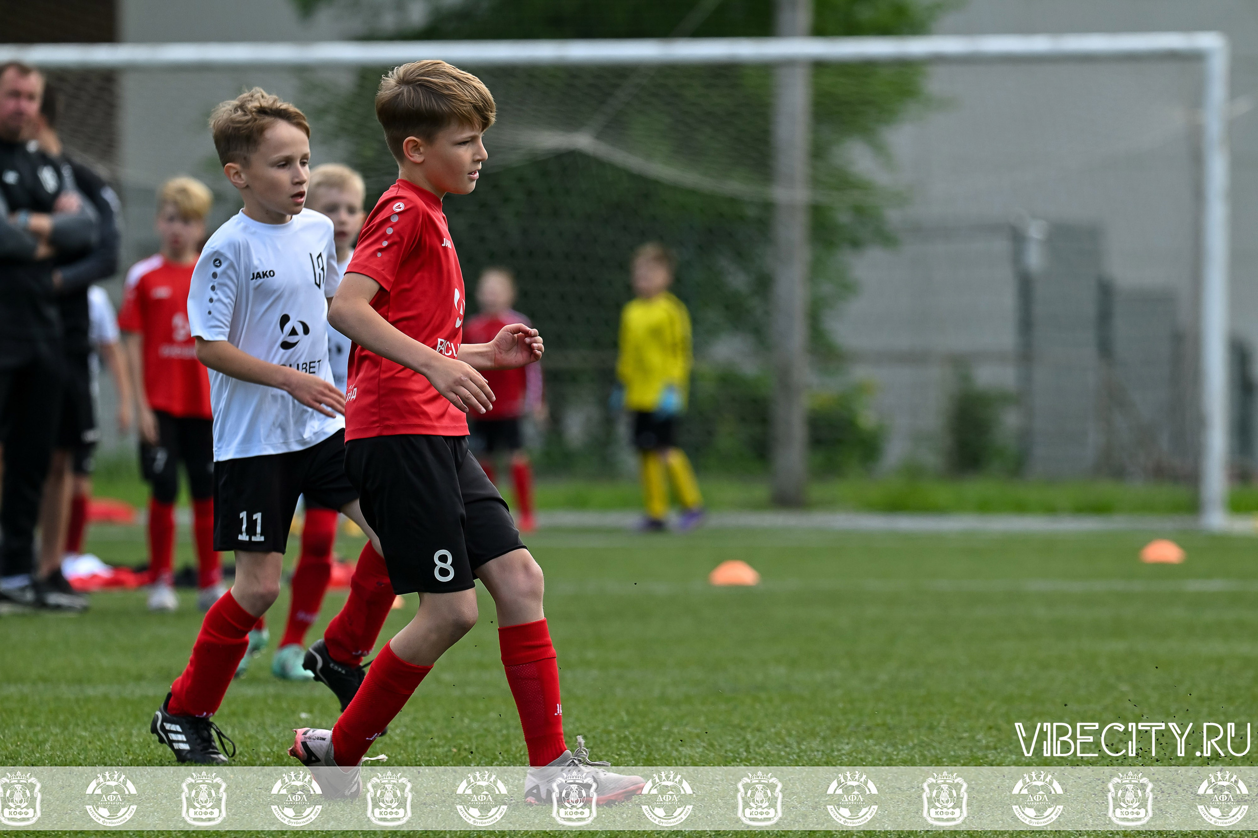 Большие Звезды светят Малым. VIBECITY.RU Вайб Сити Ру Фоторепортажи Фотоотчеты Калининград