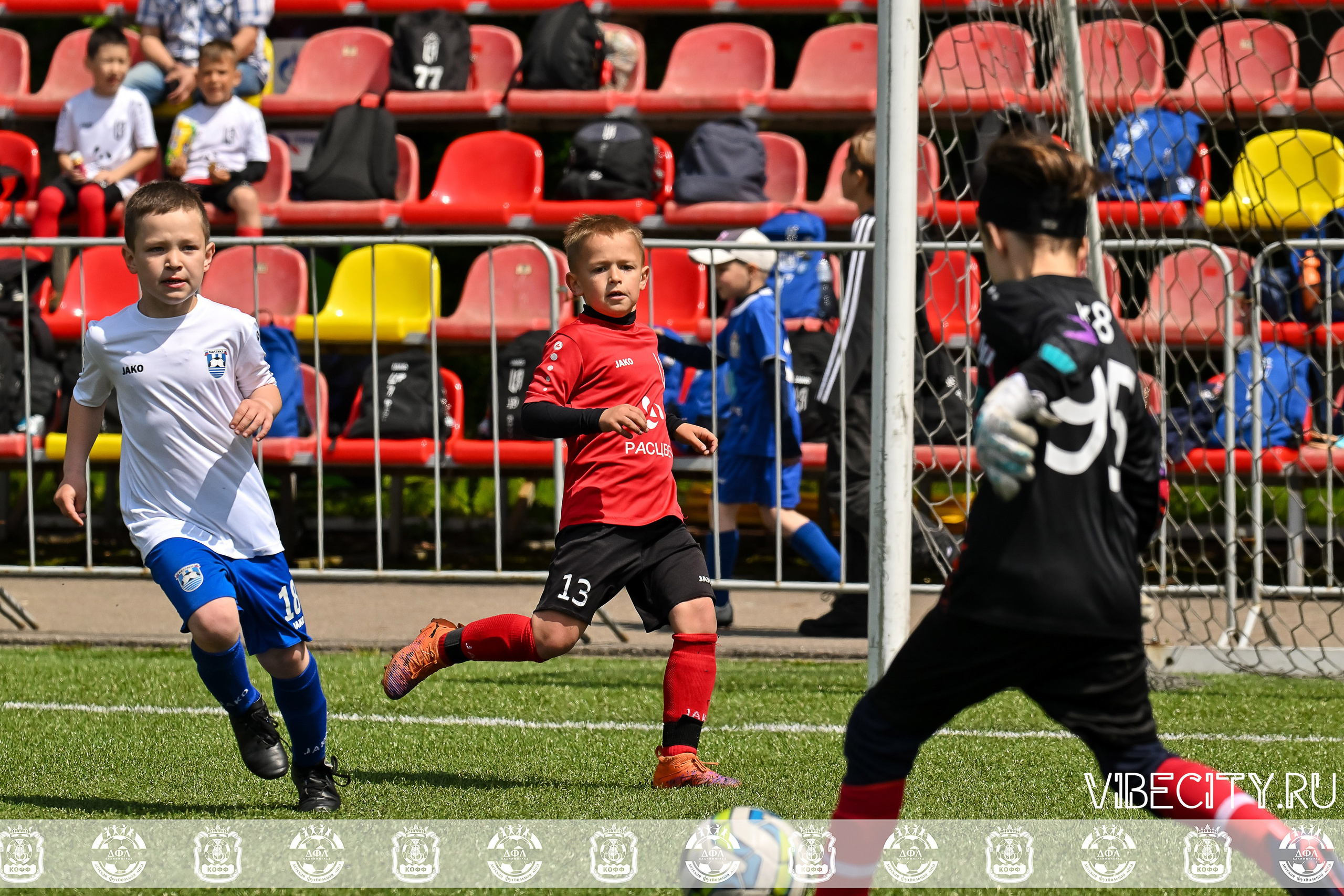 Большие Звезды светят Малым. VIBECITY.RU Вайб Сити Ру Фоторепортажи Фотоотчеты Калининград