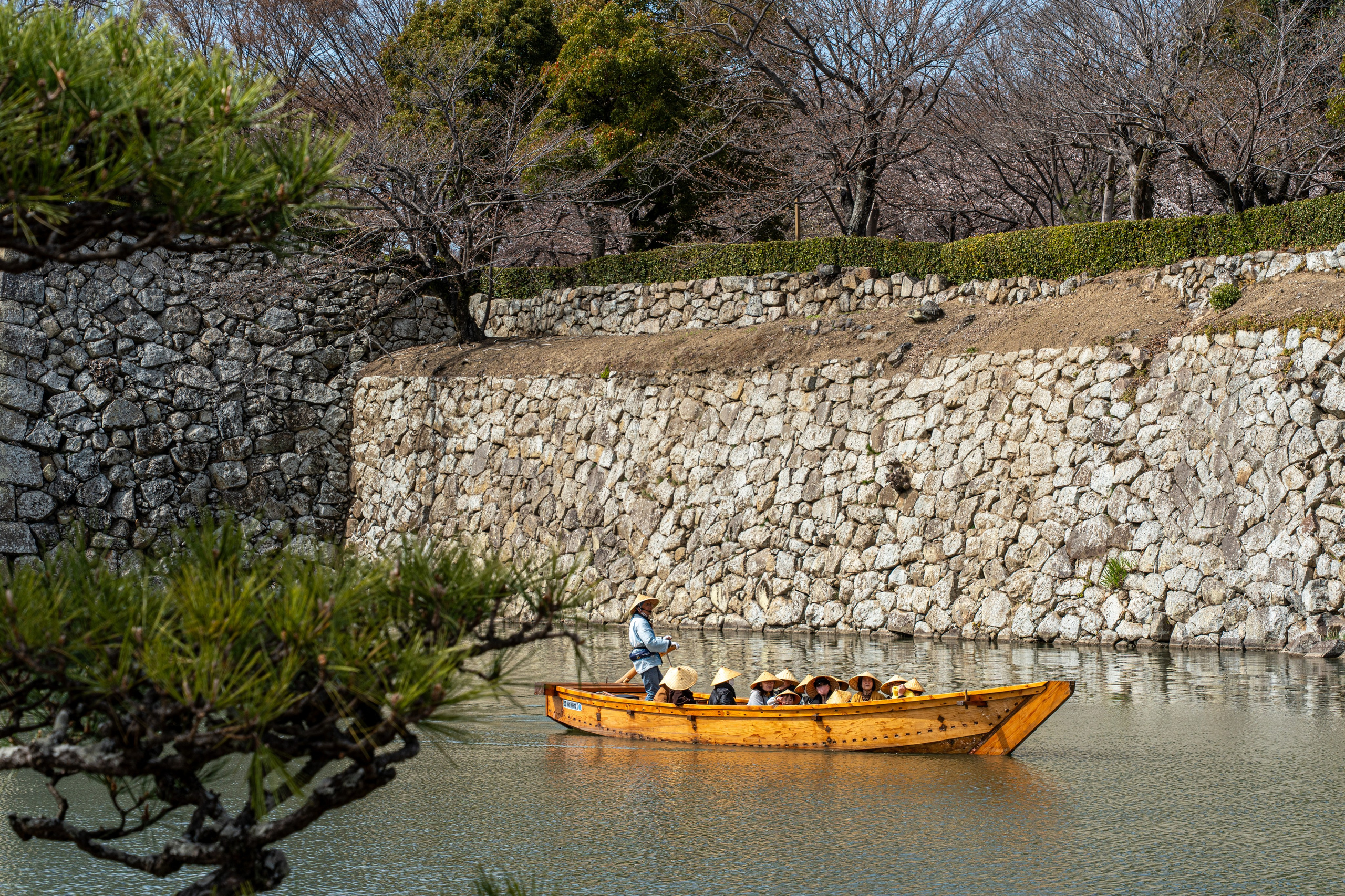Япония, сакура. Творческие сьемки