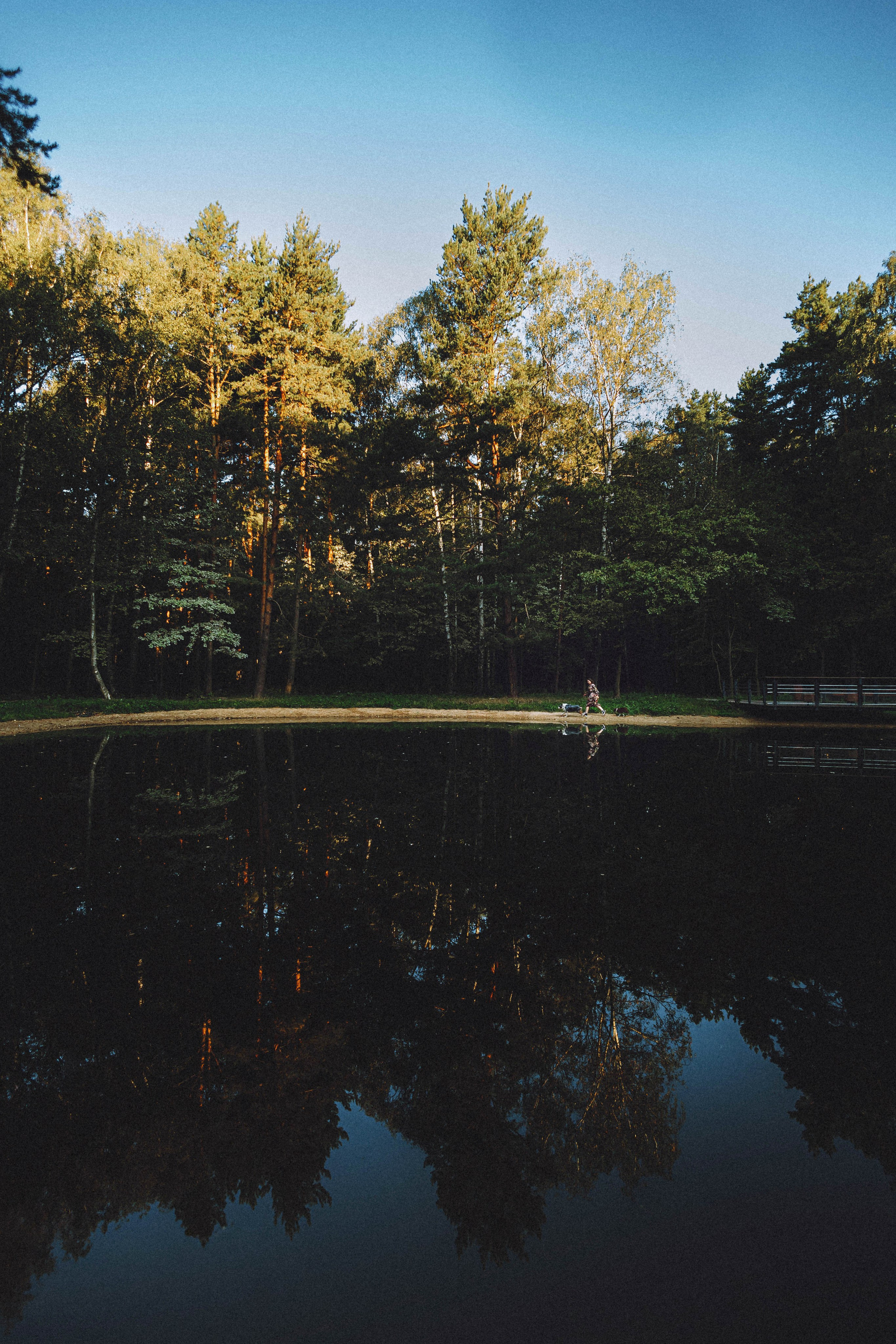 Лена, Принц и Фенек