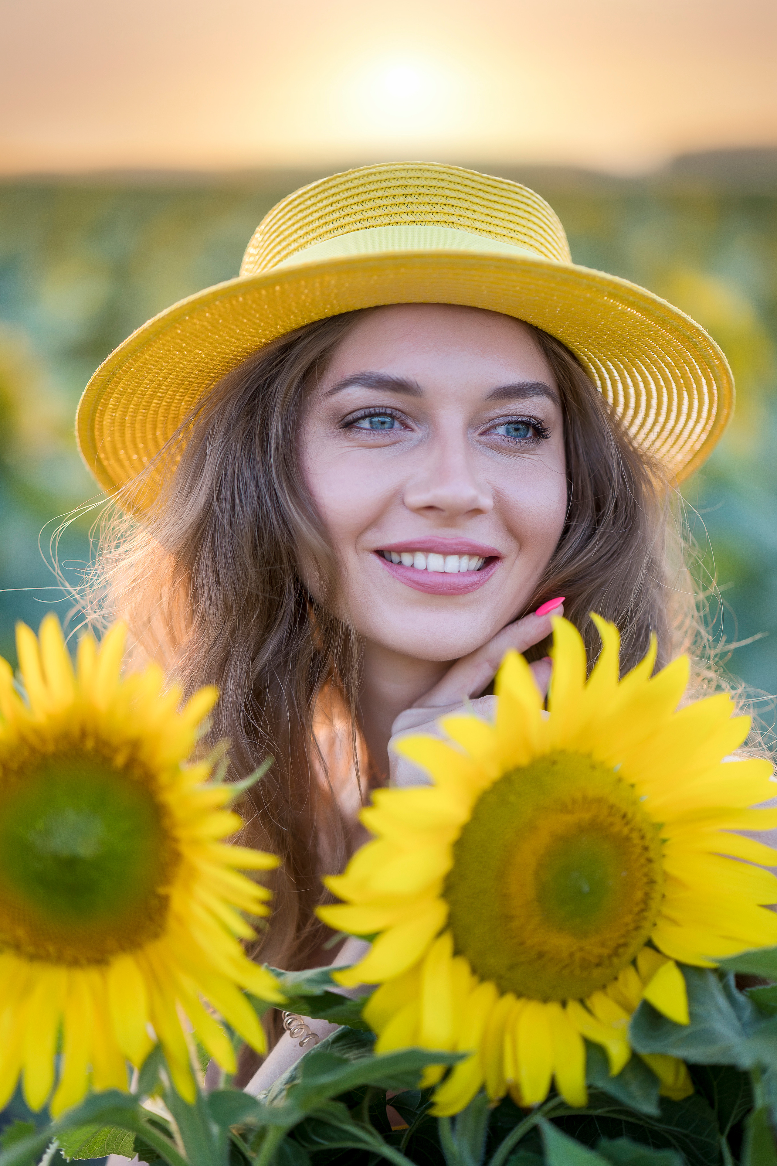 Подсолнухи. Главная