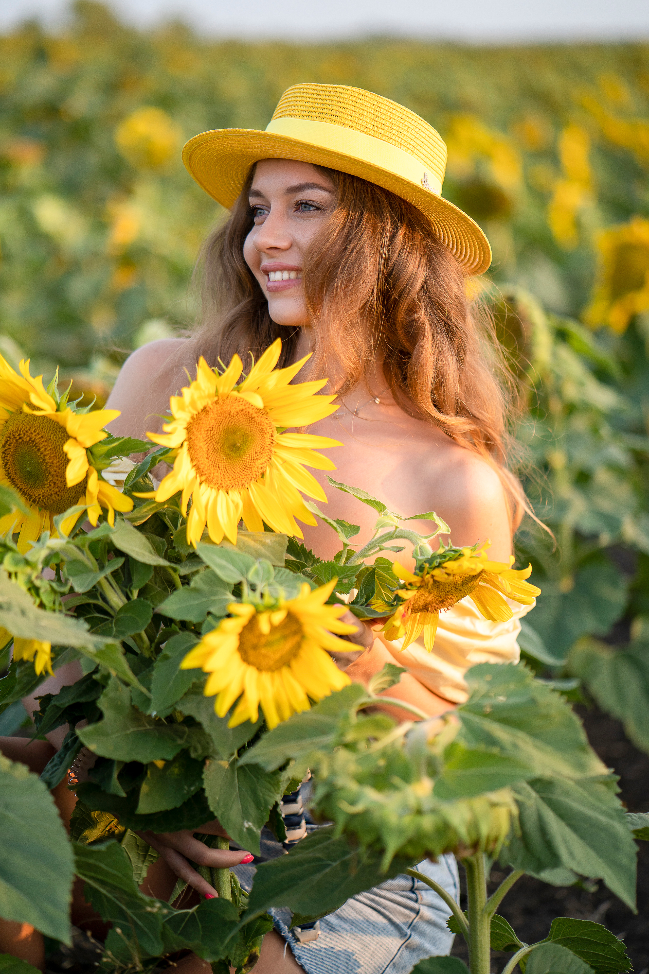 Подсолнухи. Главная