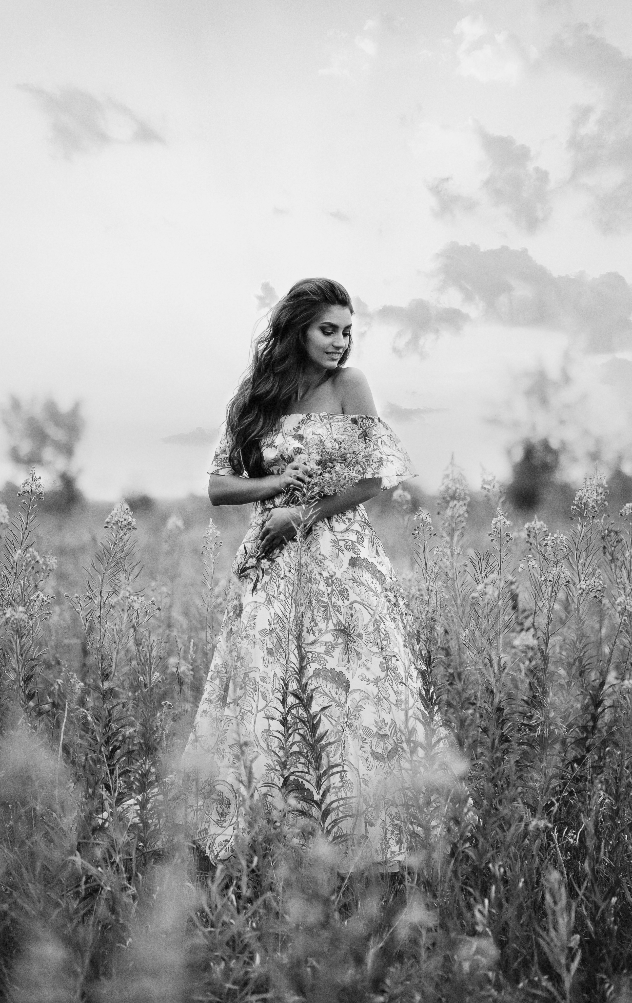 Иван-чай. Главная