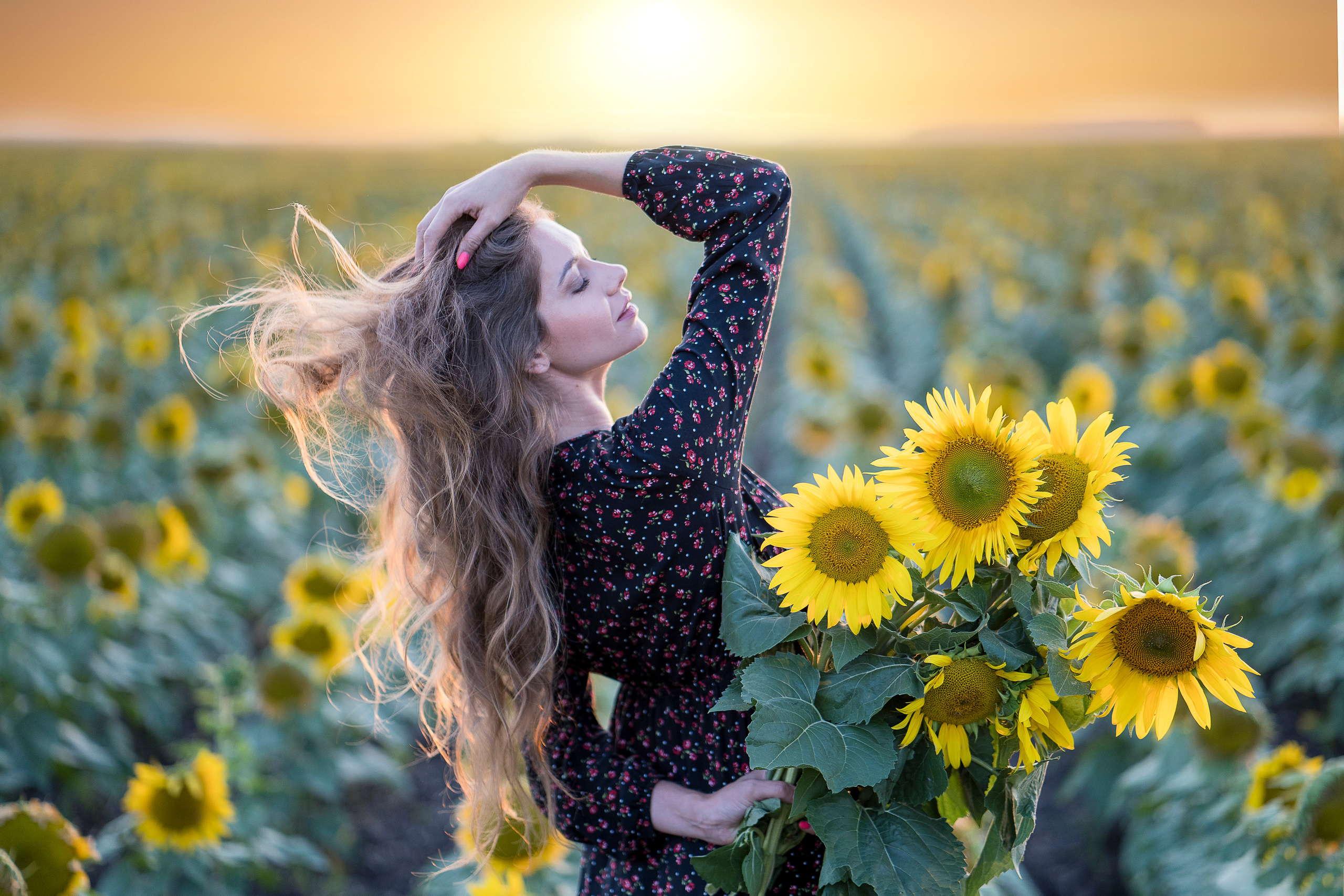 Подсолнухи. Главная