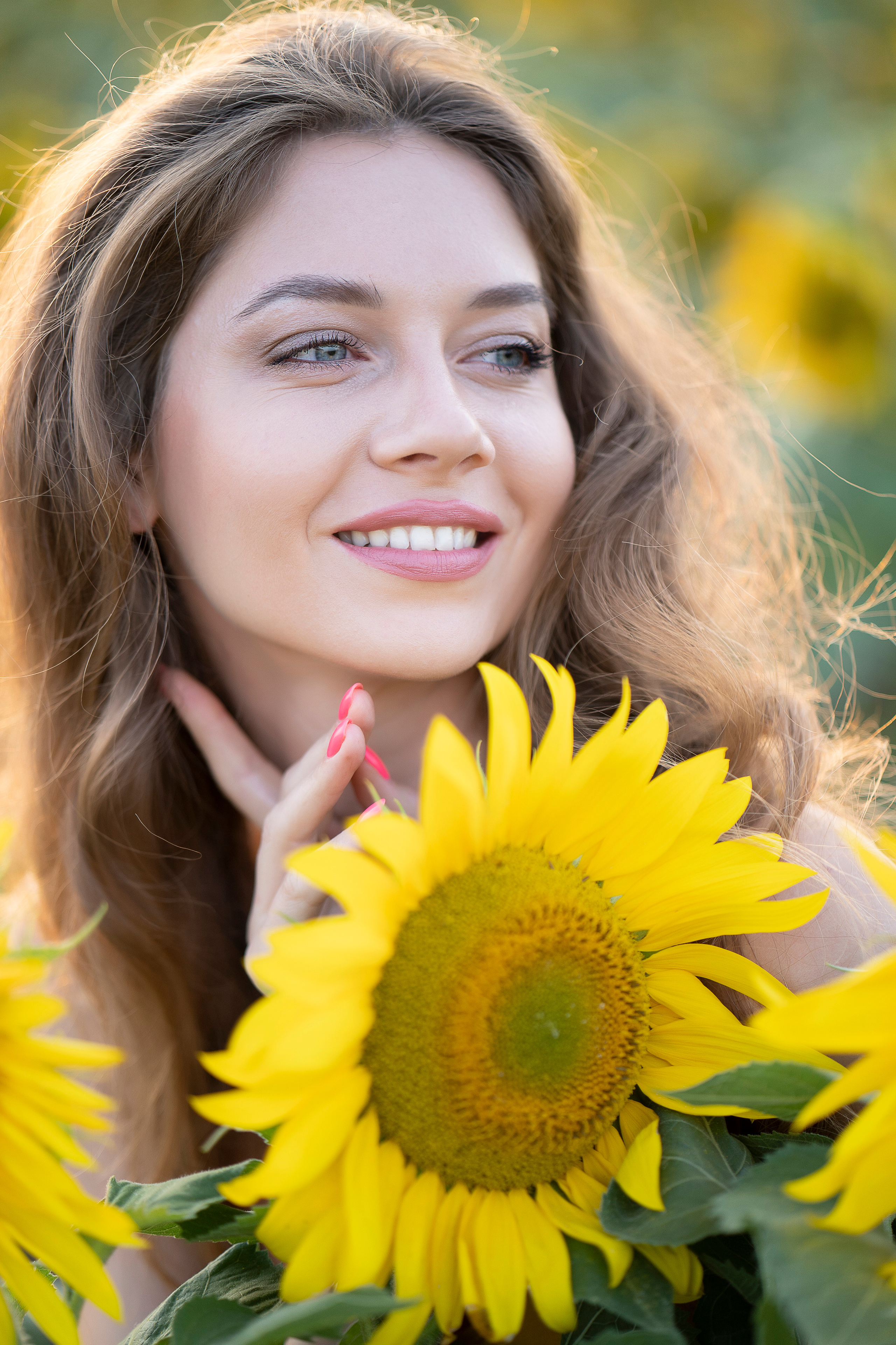 Подсолнухи. Главная
