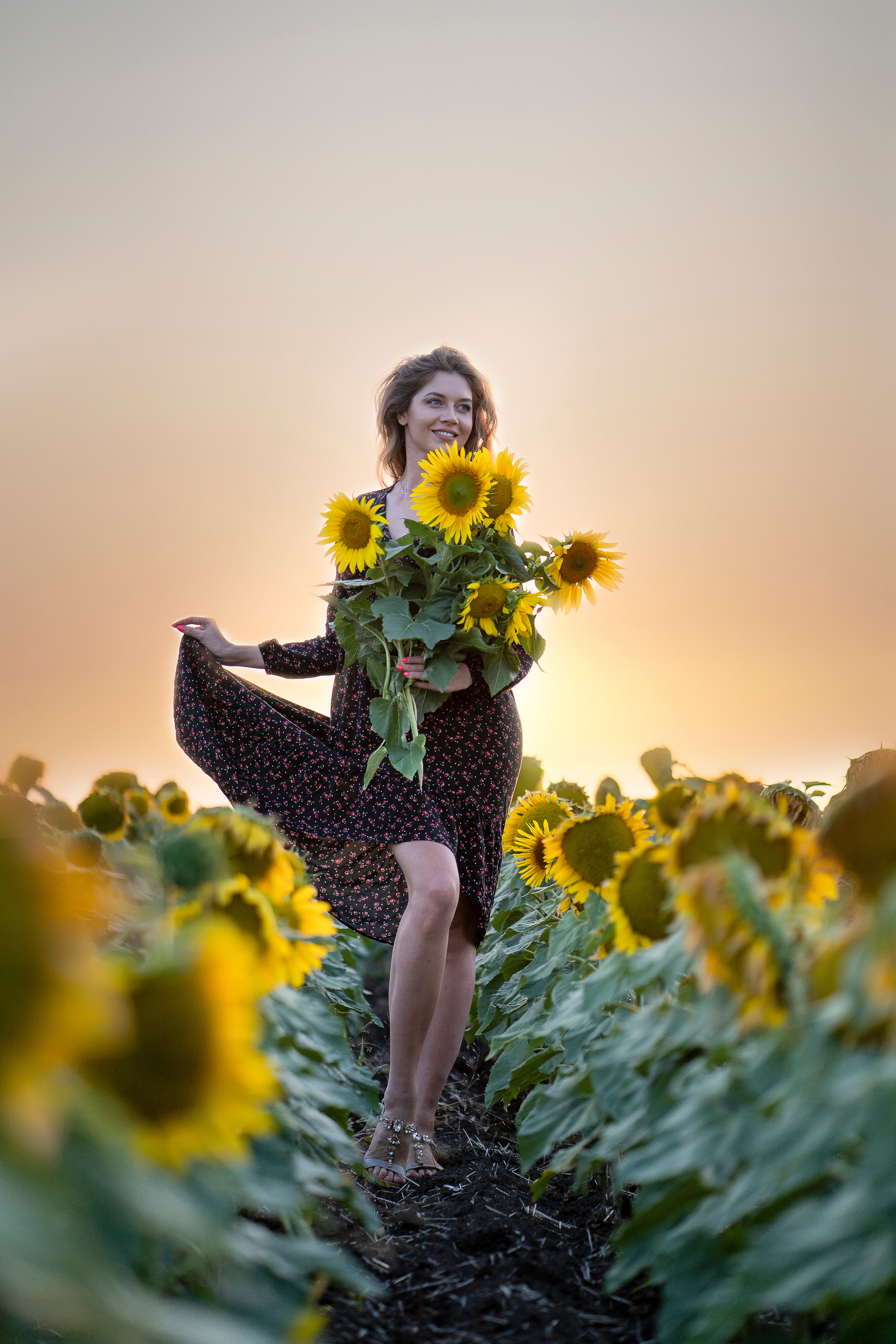 Подсолнухи. Главная