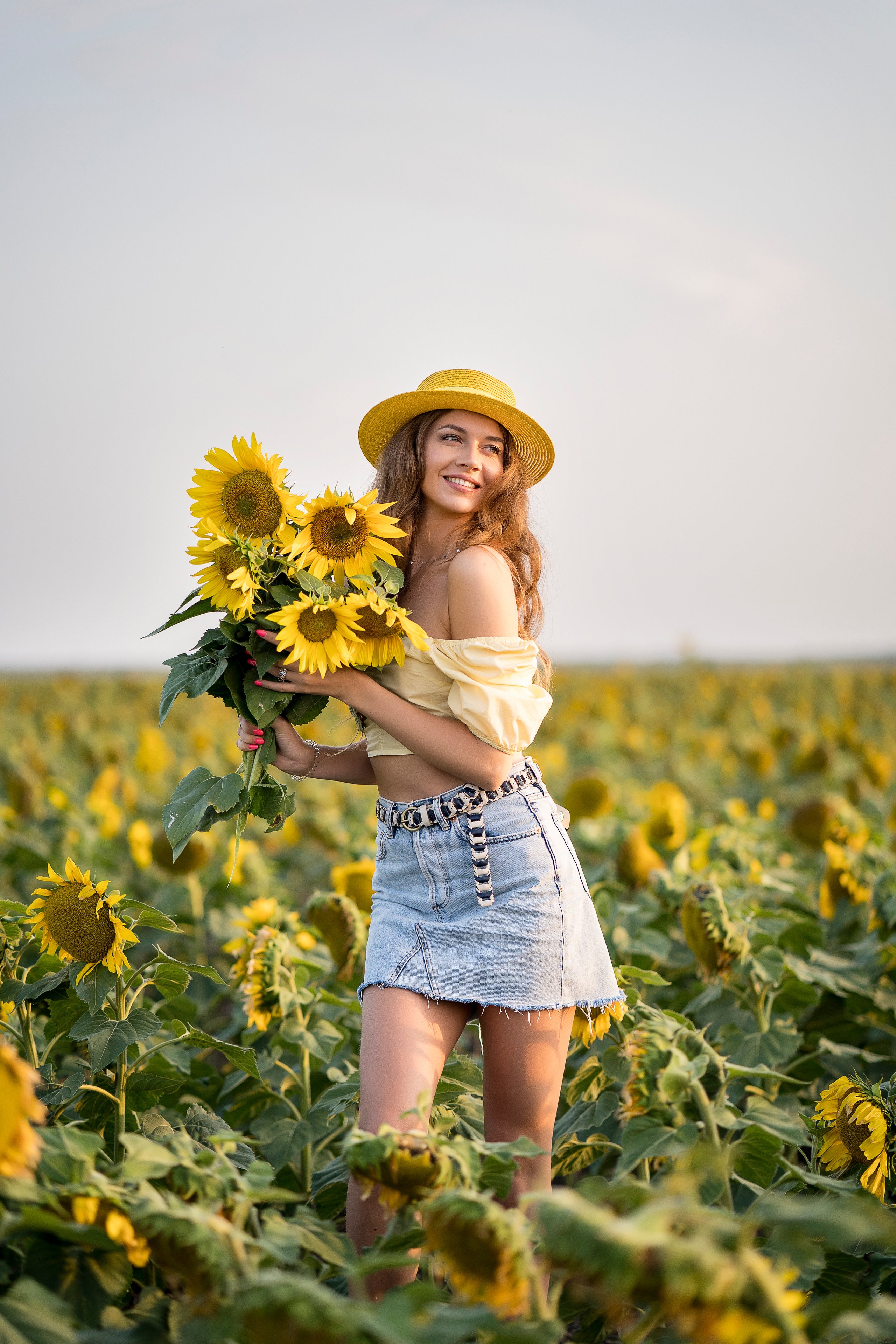 Подсолнухи. Главная