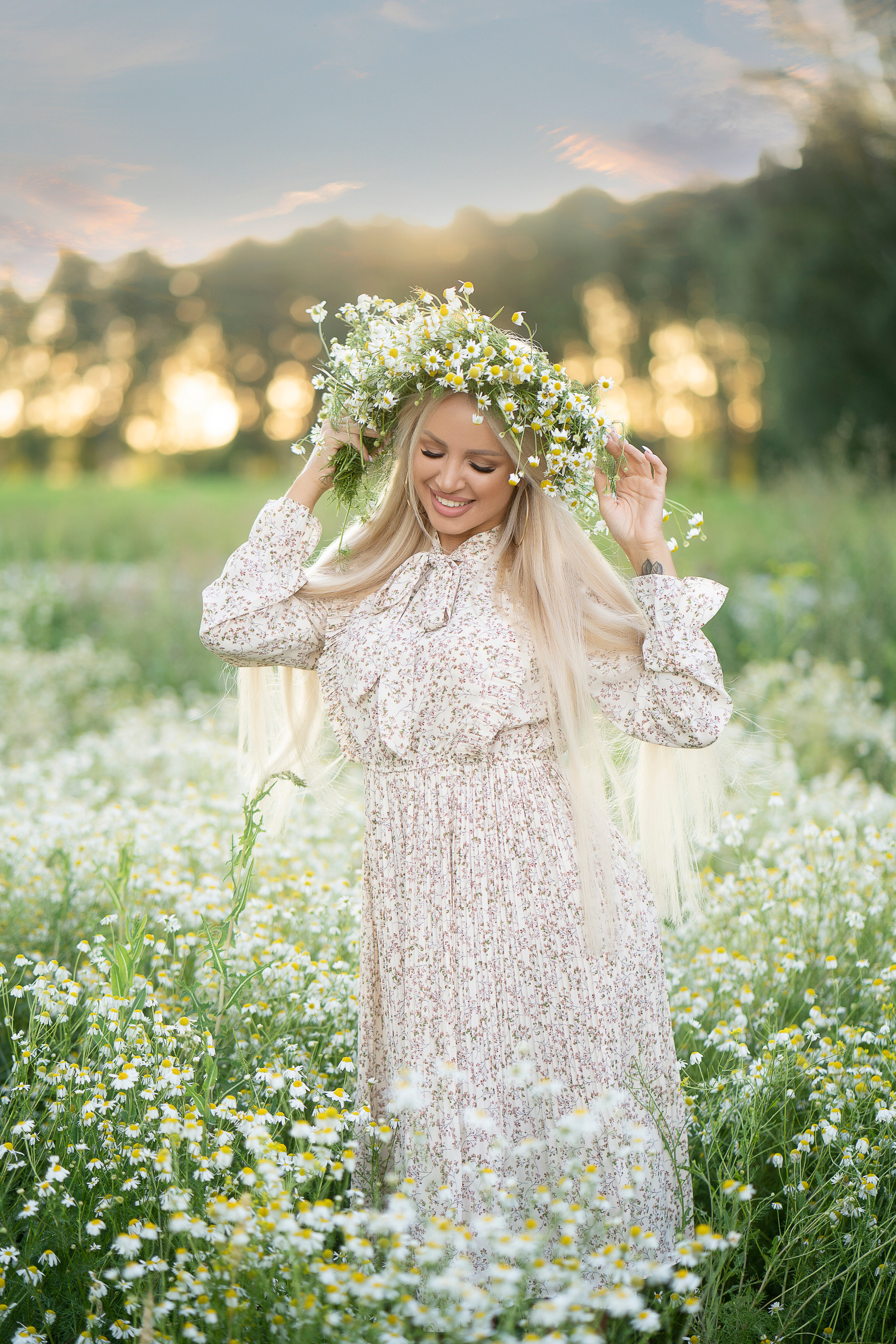 Ромашки. Главная