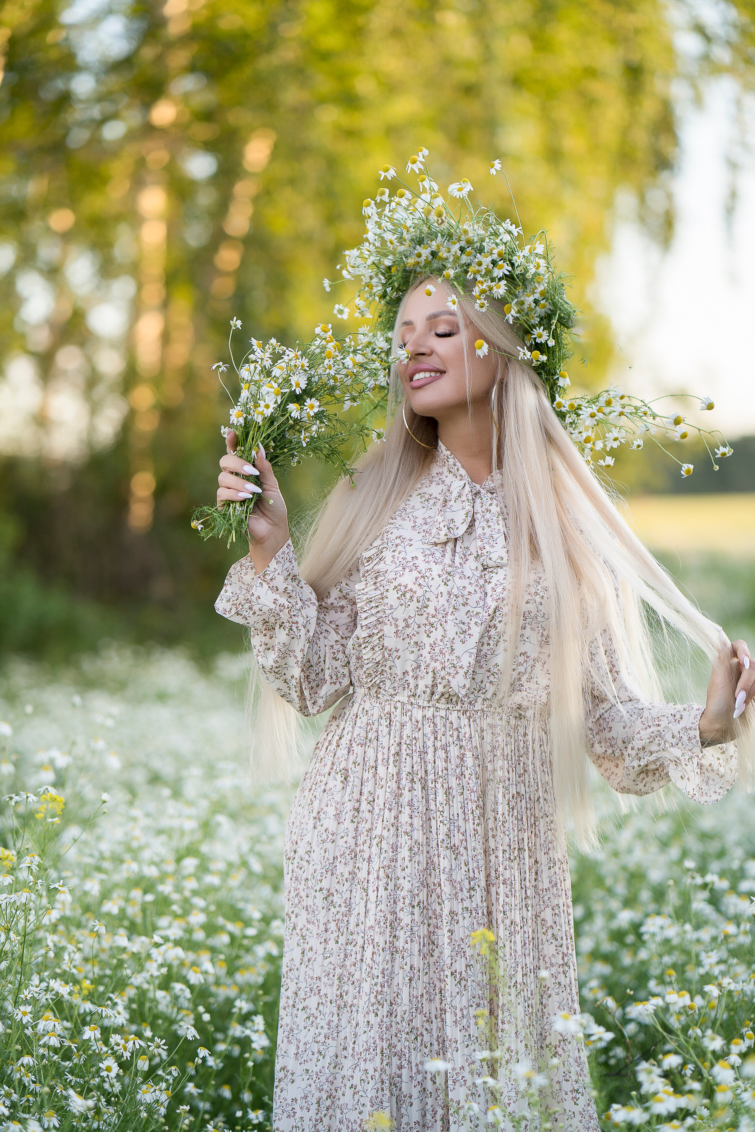 Ромашки. Главная