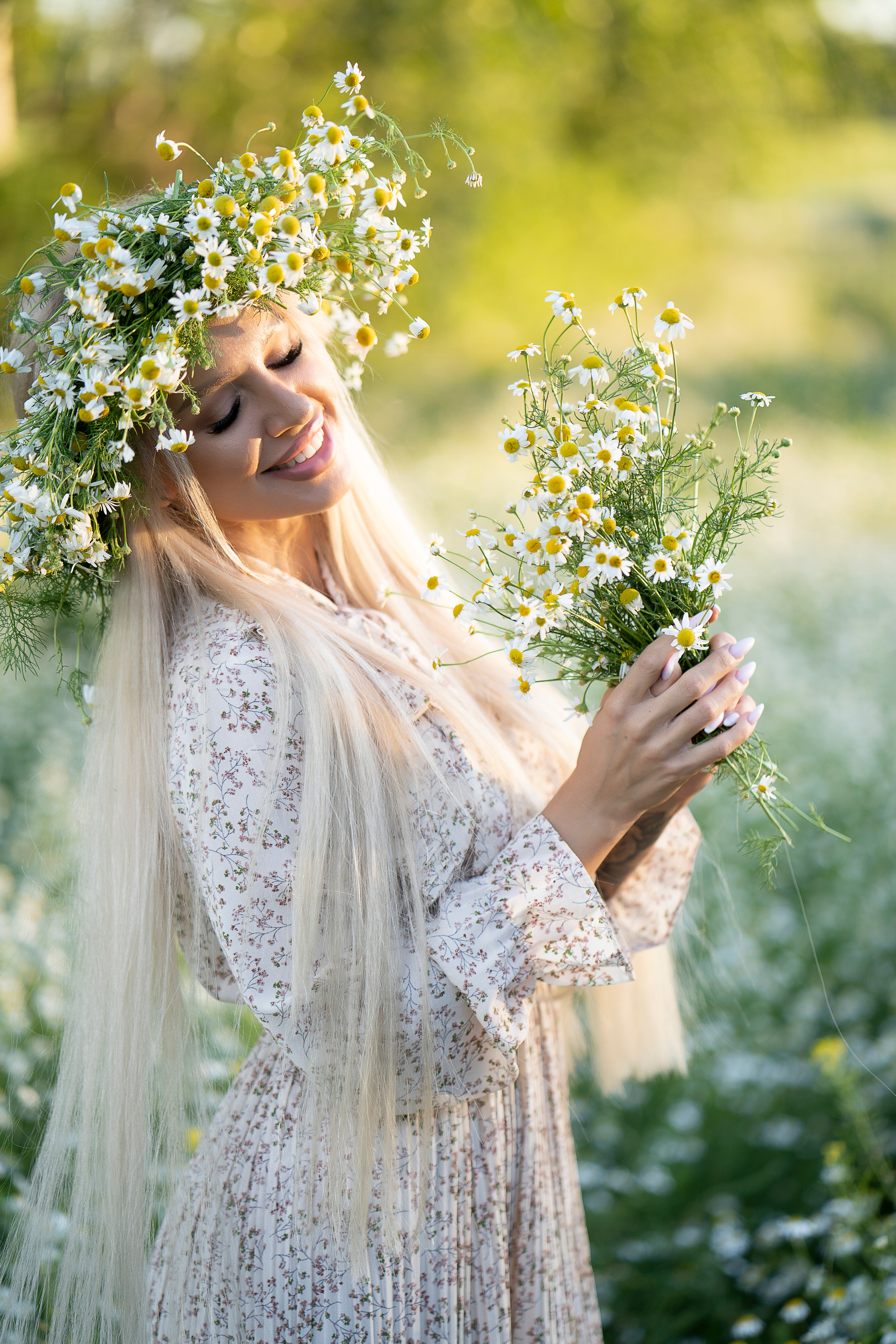 Ромашки. Главная