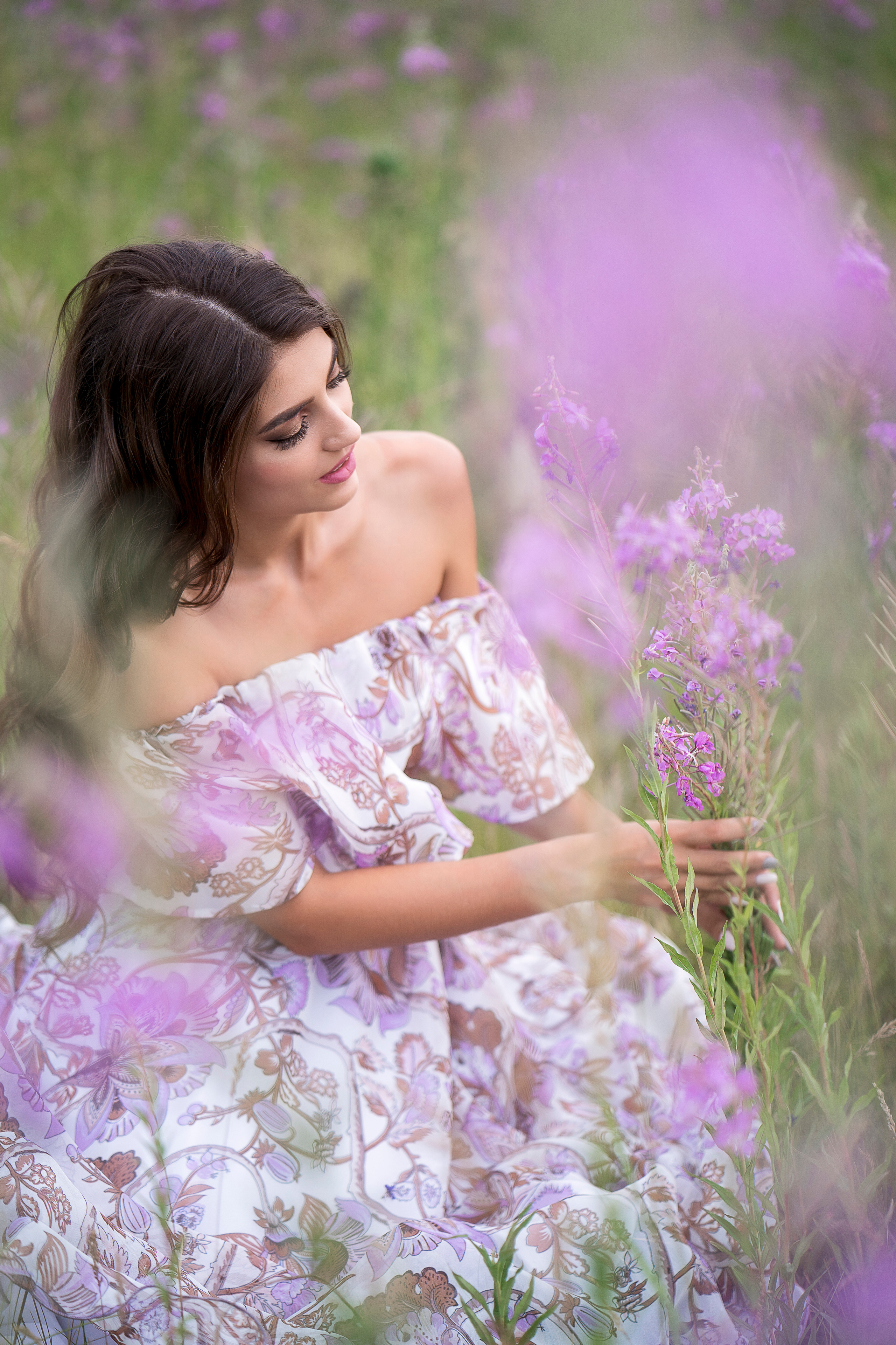 Иван-чай. Главная